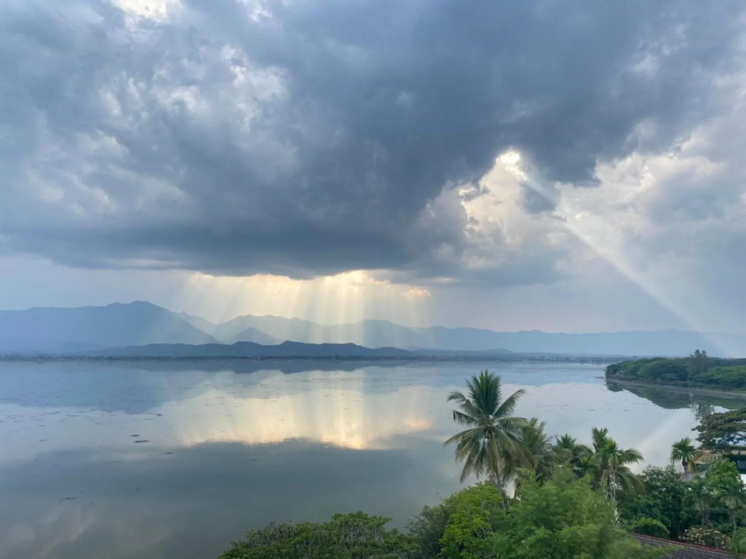 Natural landscape in M2 Hotel Waterside