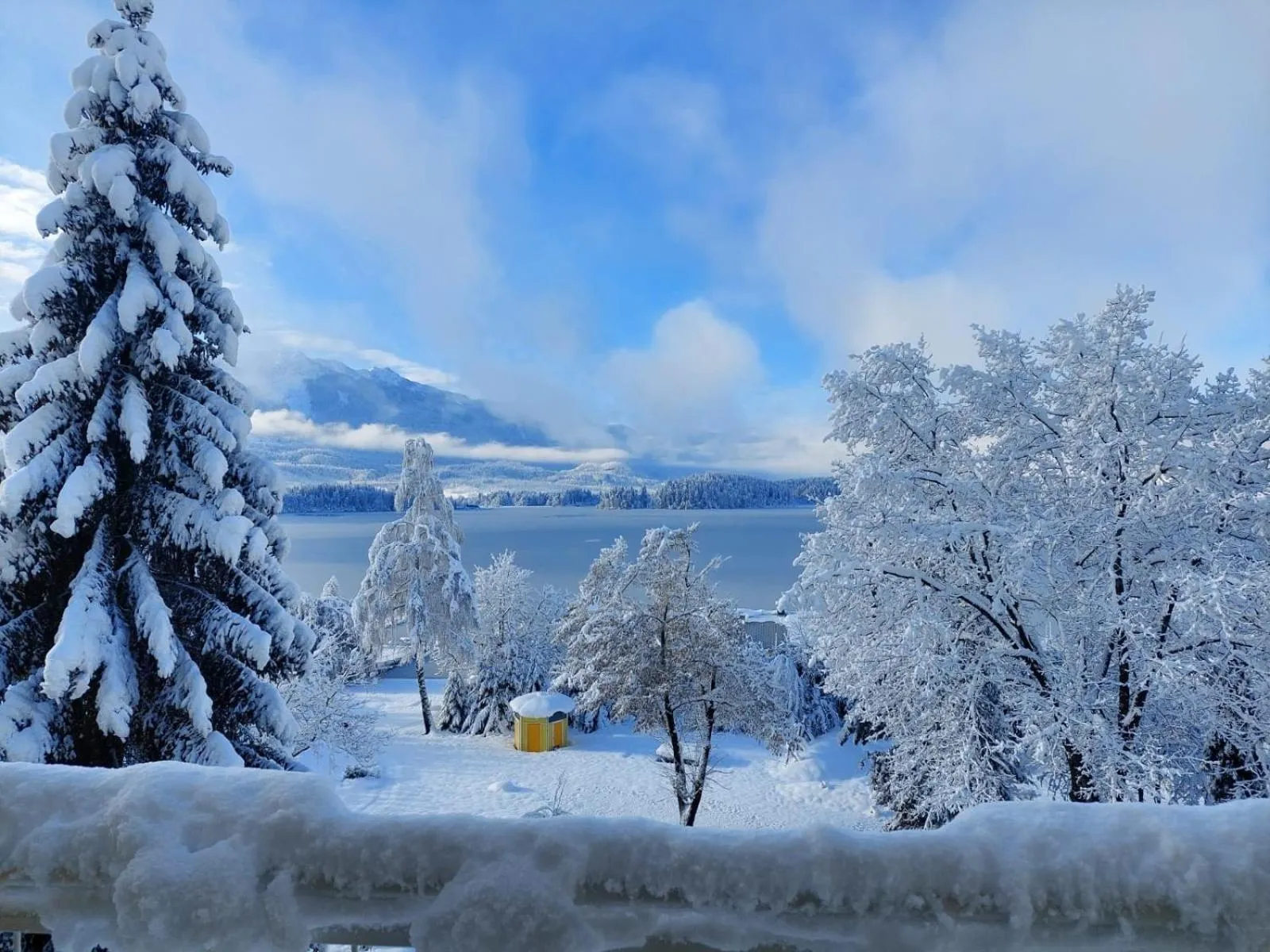Natural landscape in Das Moser - Hotel Garni am See (Adults Only)