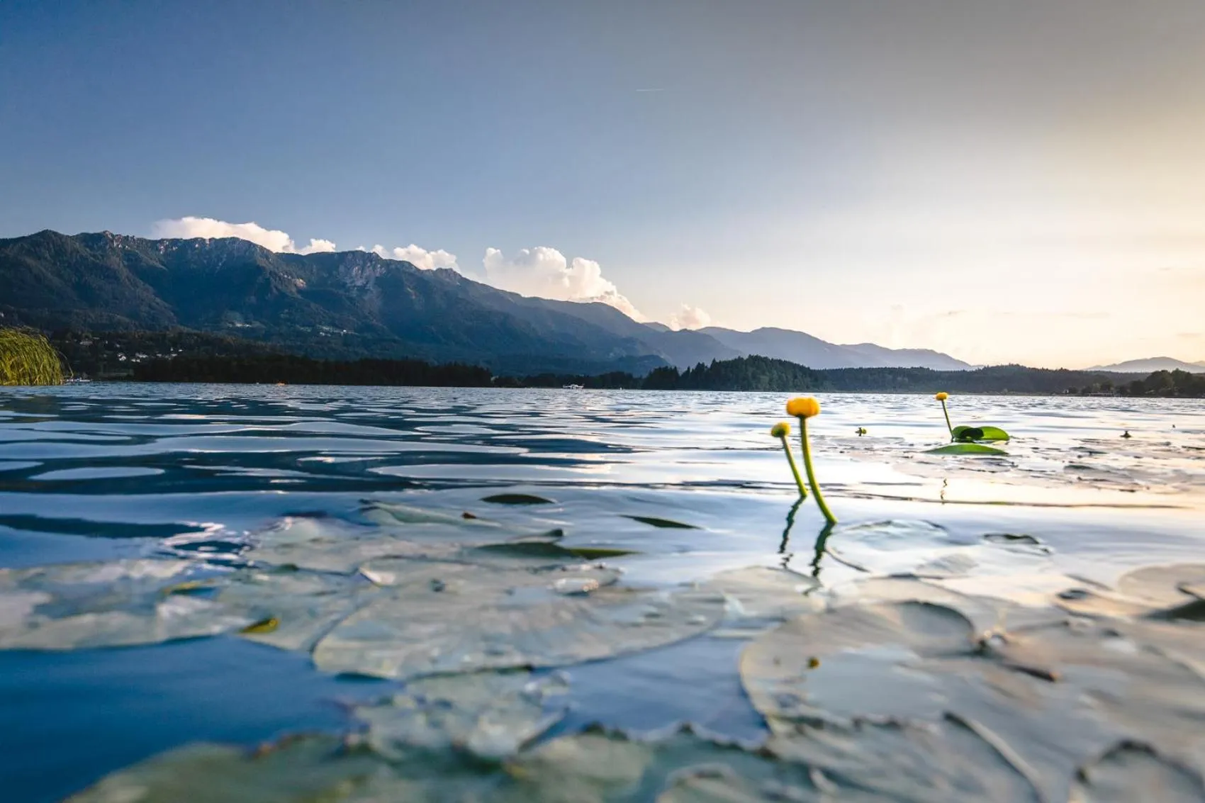 Beach in Das Moser - Hotel Garni am See (Adults Only)