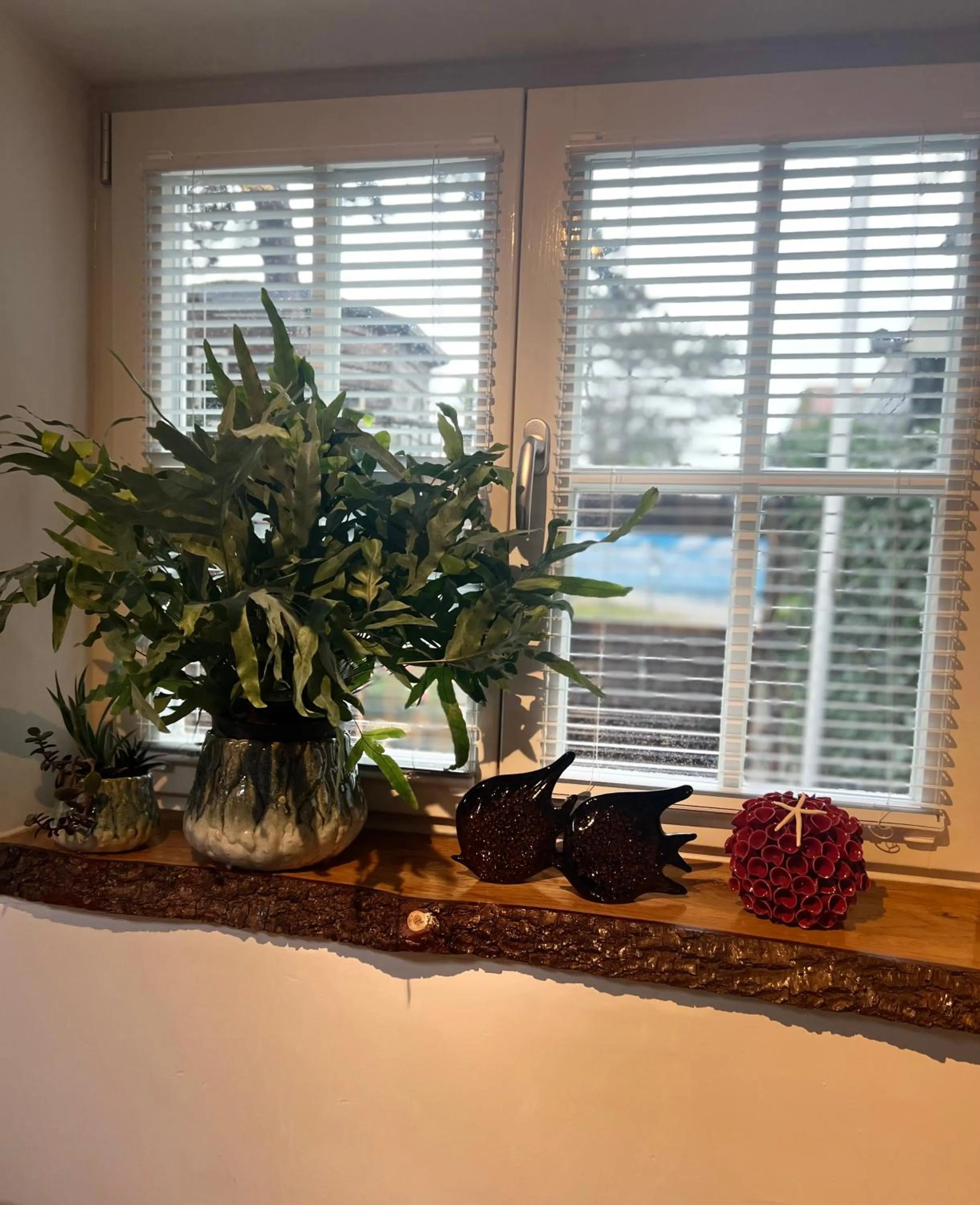 Property building in Cottage 44 - Free parking!