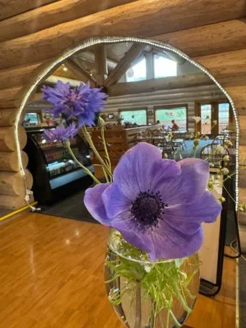 Restaurant/places to eat in Bear's Claw Lodge