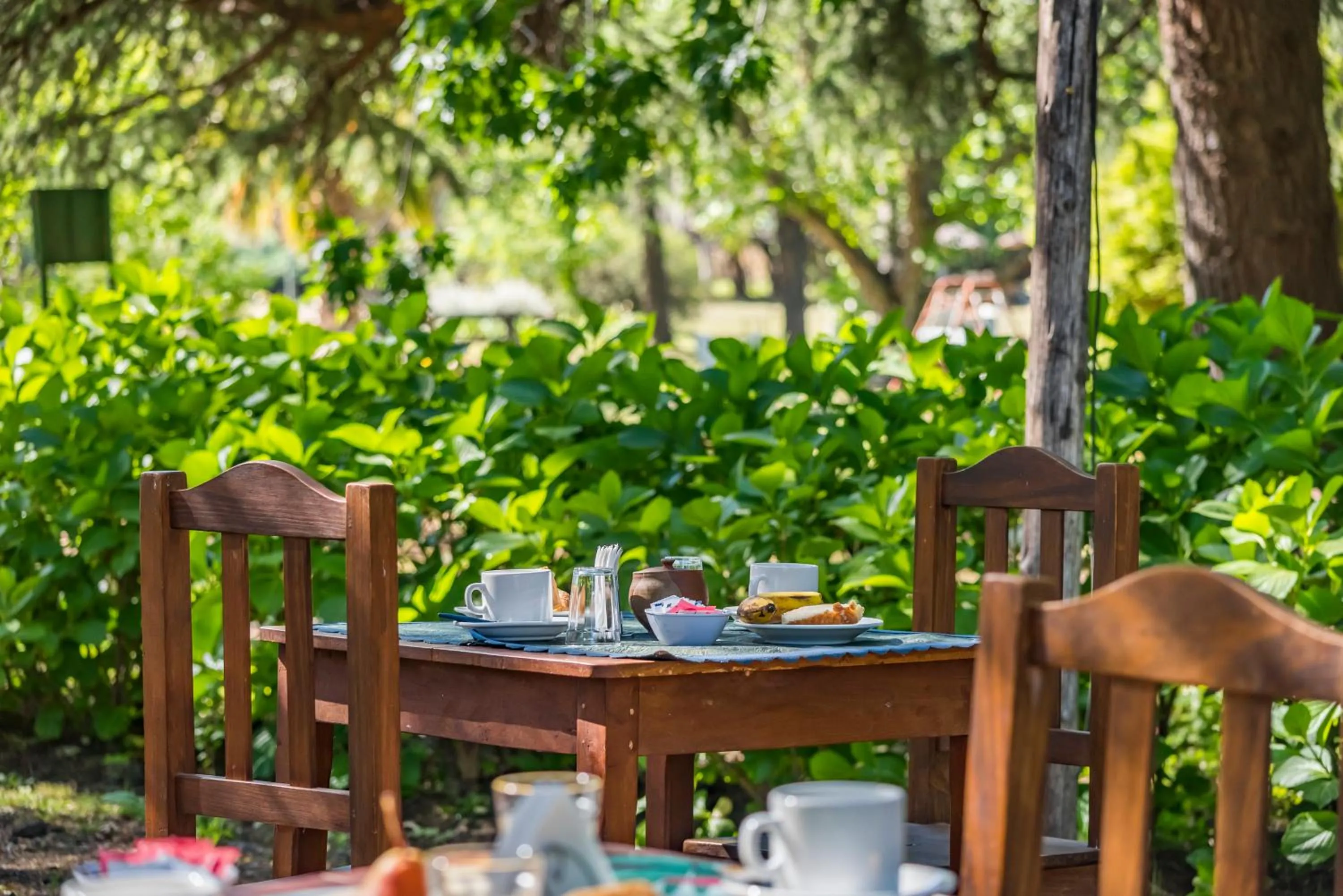 Garden in Posada El Pucara