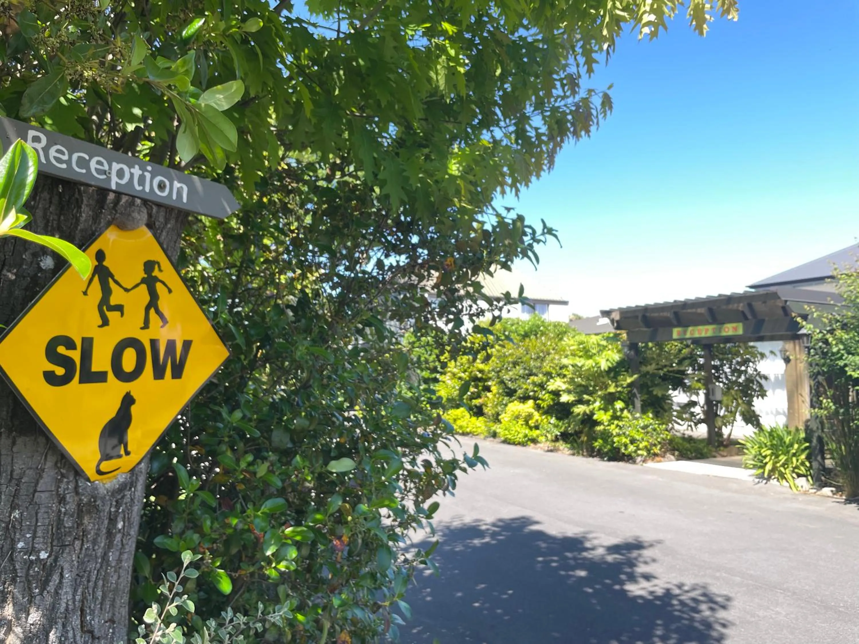 Lobby or reception in Ashleigh Court Motel-Christchurch Hagley Park