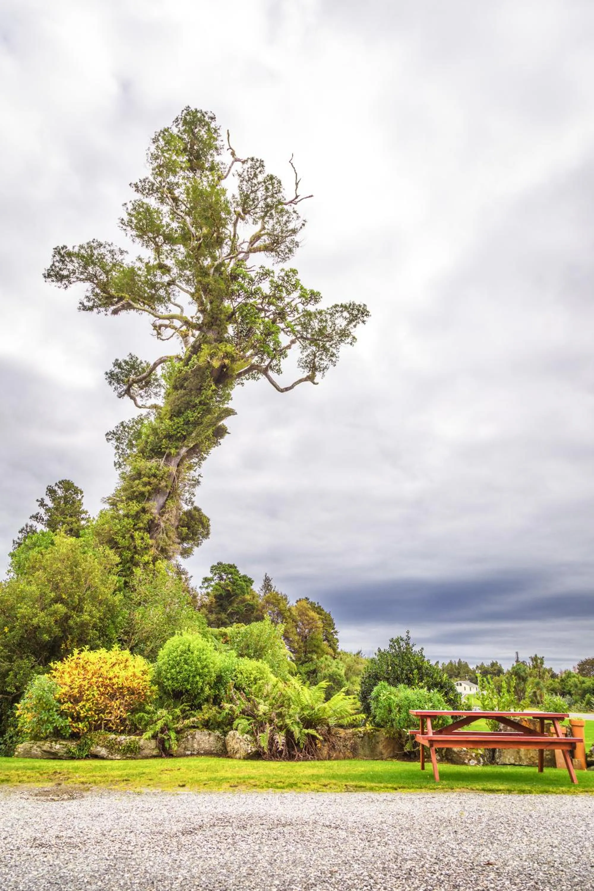Garden in ASURE Aspiring Court Motel