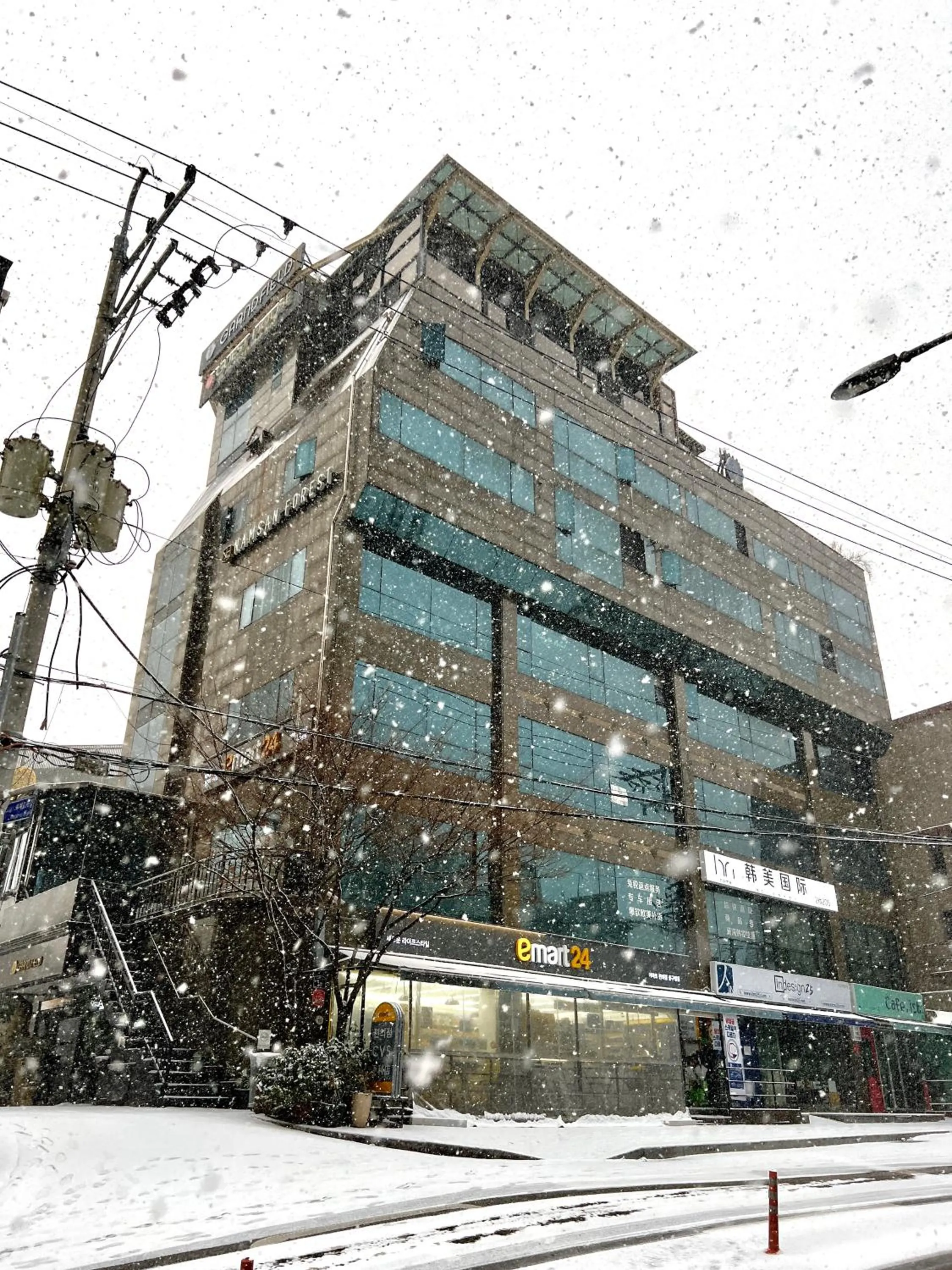 Property building in Namsan Forest in Myeongdong
