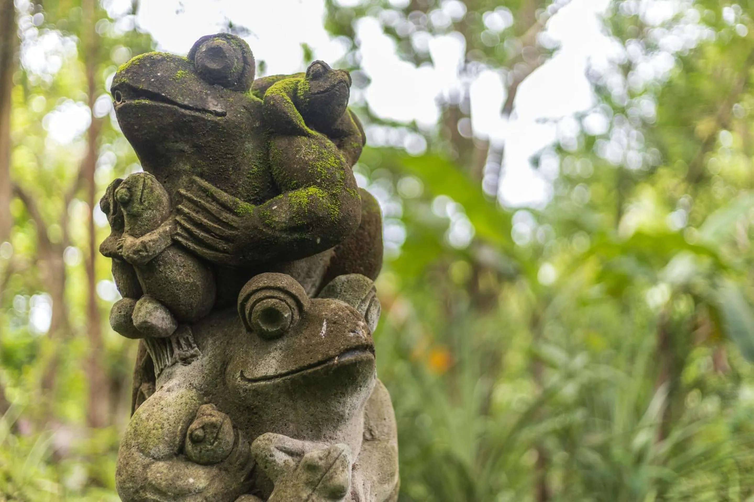Garden in Thalassa Dive & Wellbeing Resort Manado