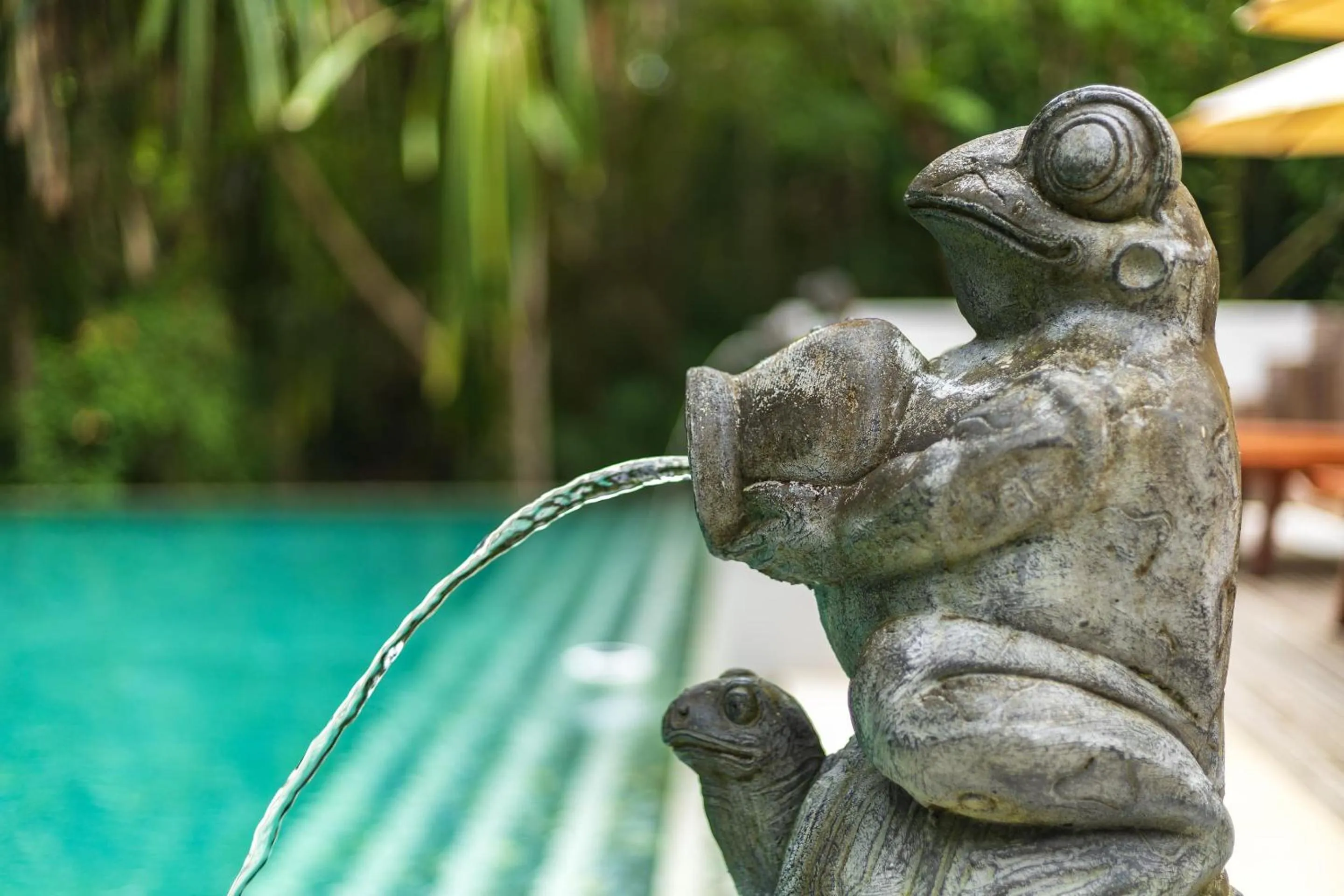 Day in Thalassa Dive & Wellbeing Resort Manado