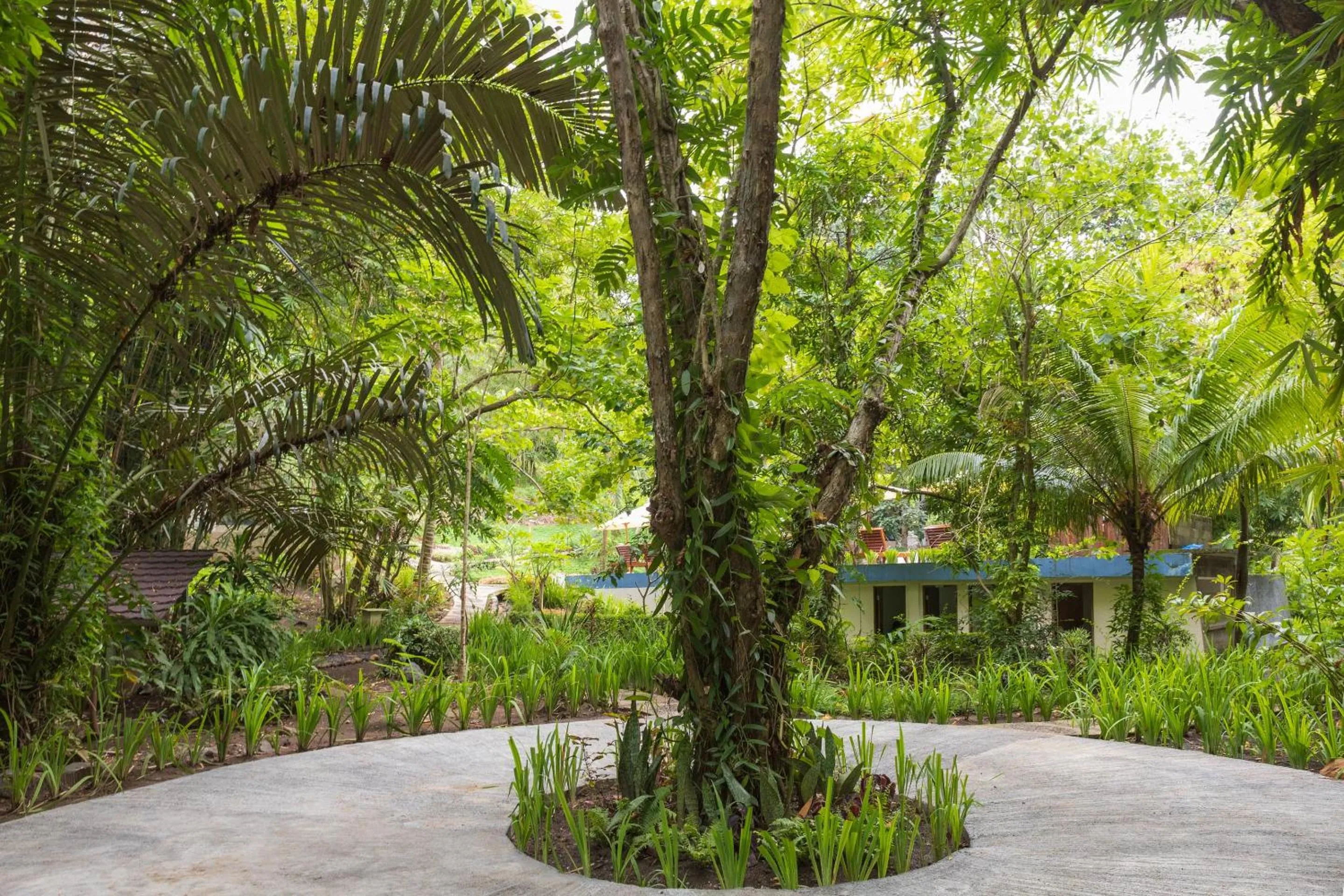 Garden in Thalassa Dive & Wellbeing Resort Manado