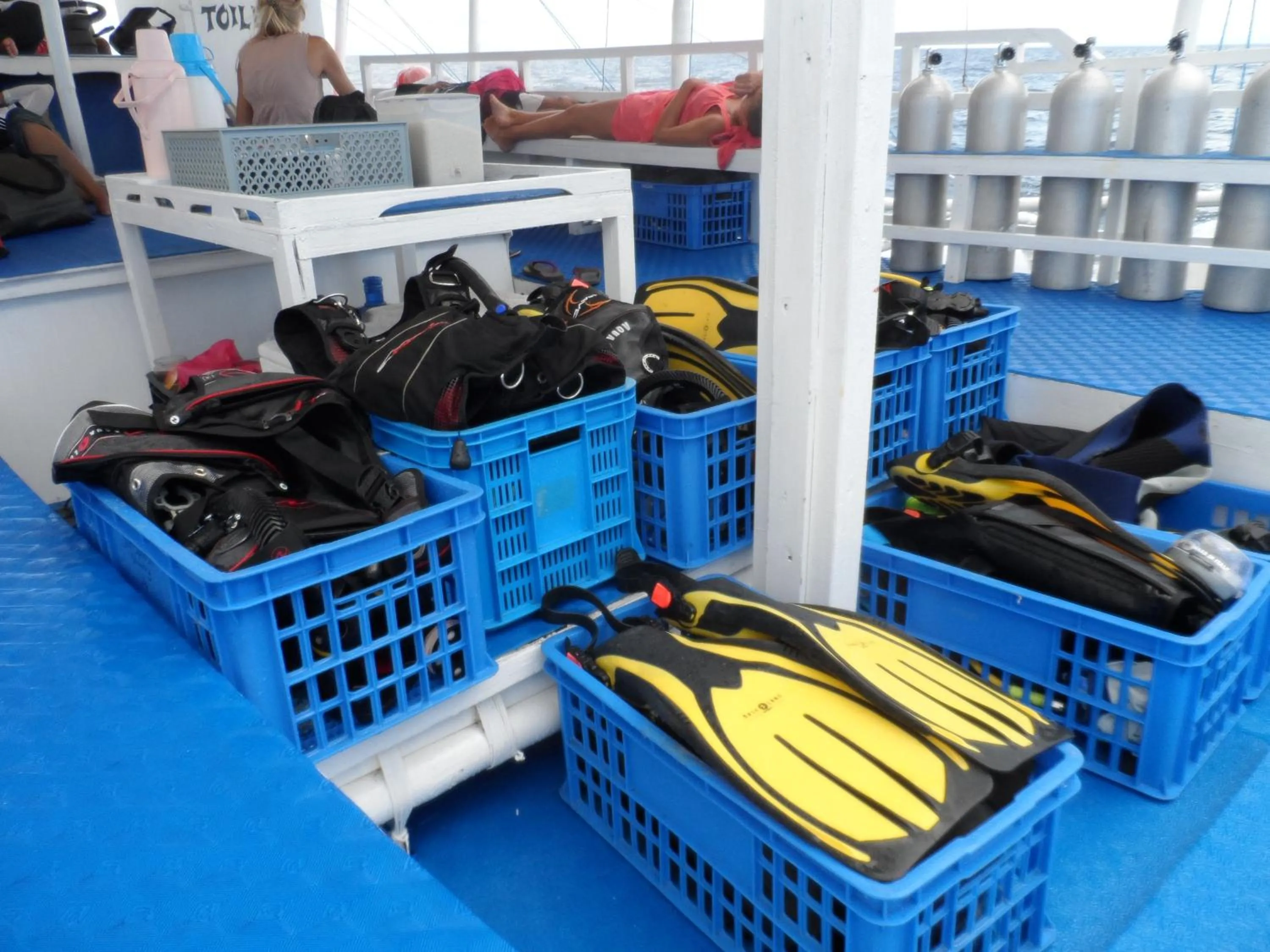 Diving in Little Mermaid Dive Resort