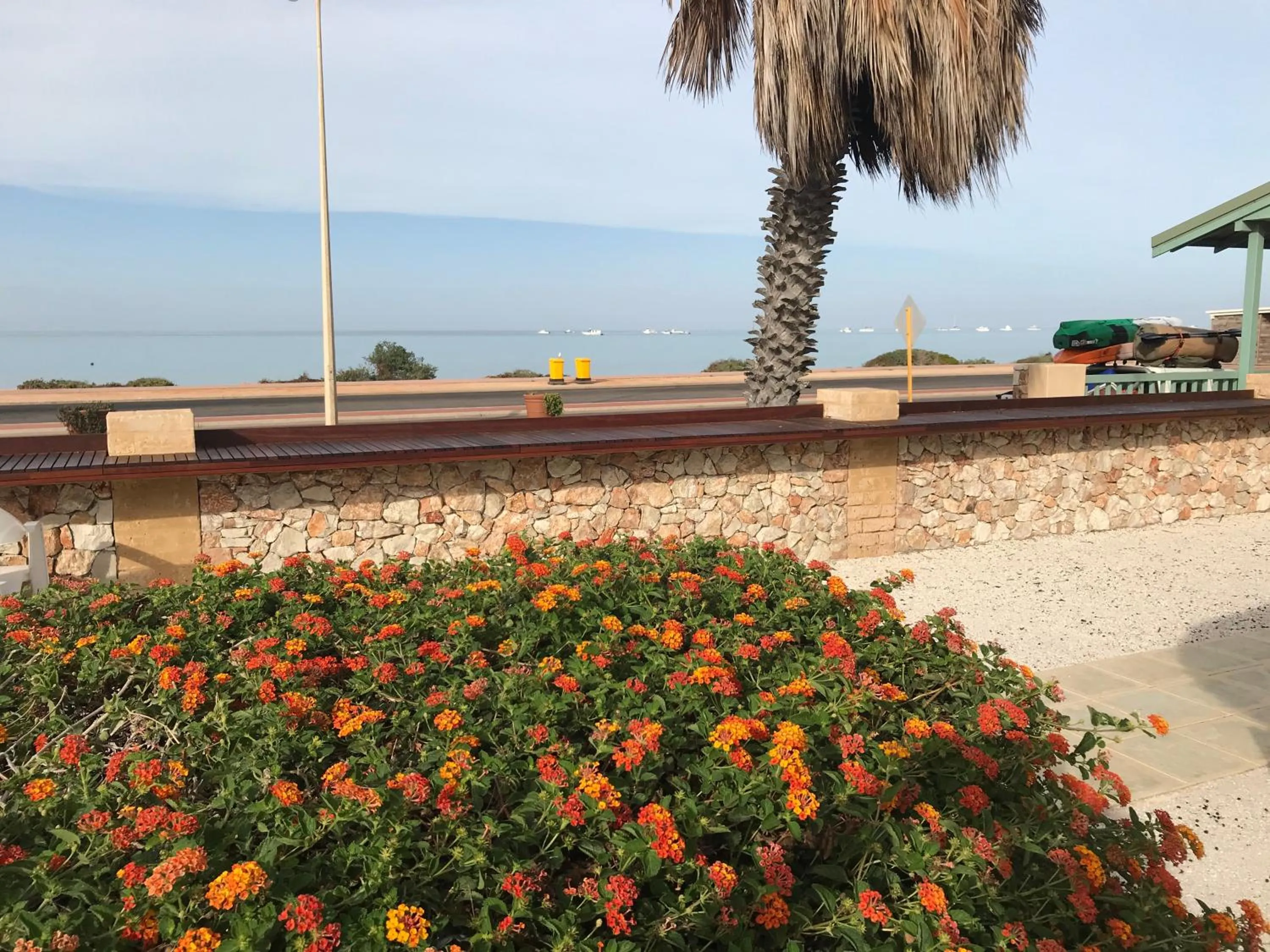 Beach in Shark Bay Seafront Apartments