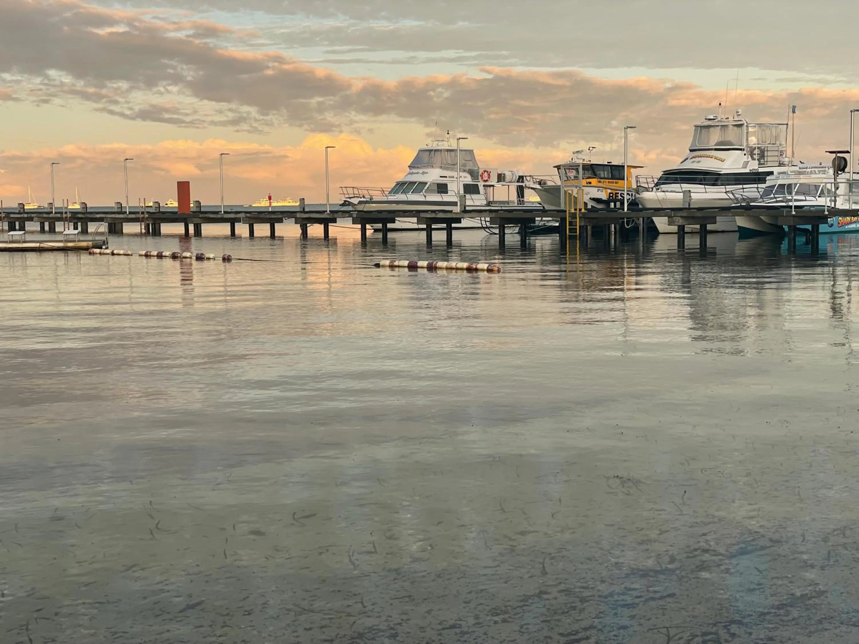 Sunrise in Shark Bay Seafront Apartments