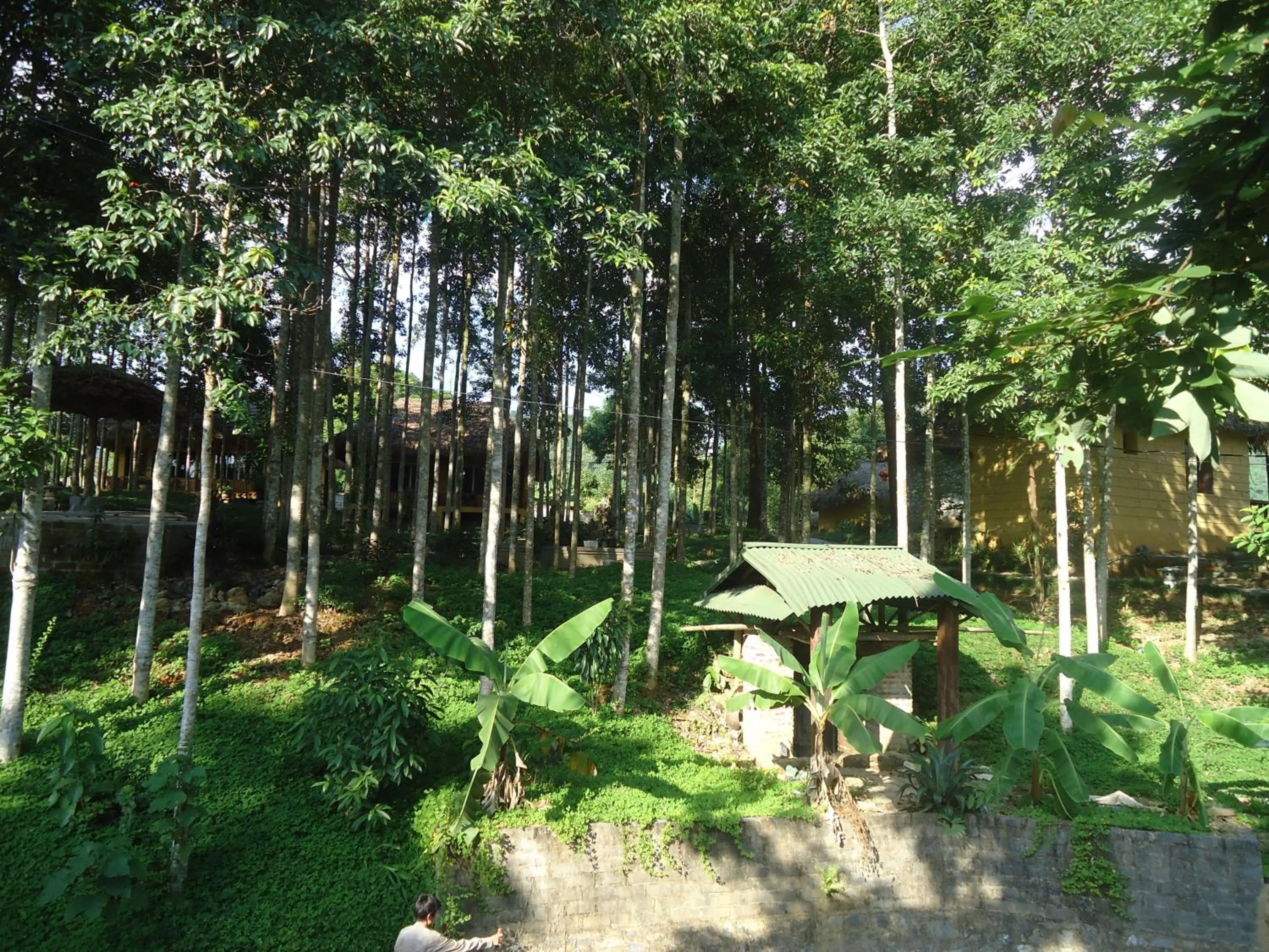 Neighbourhood in Truong Xuan Ecology