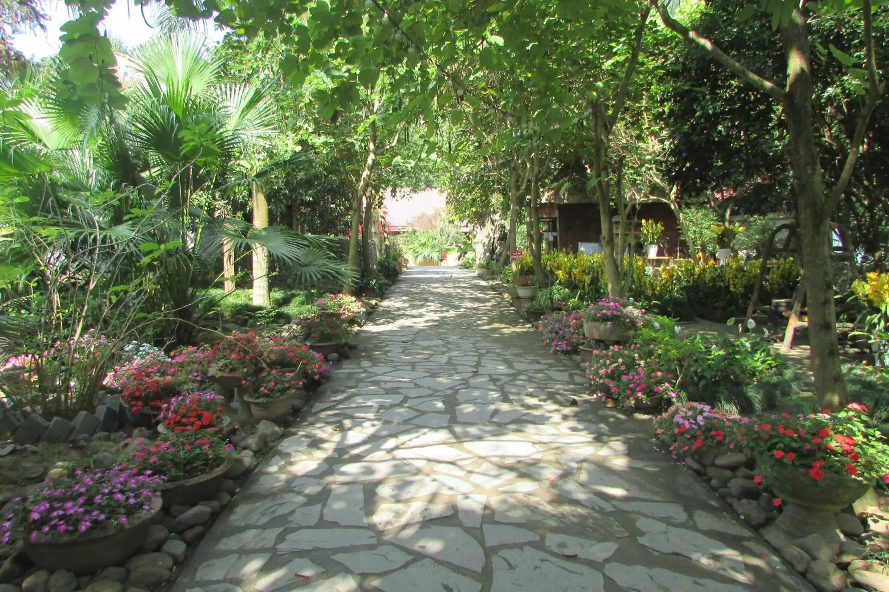 Neighbourhood in Truong Xuan Ecology