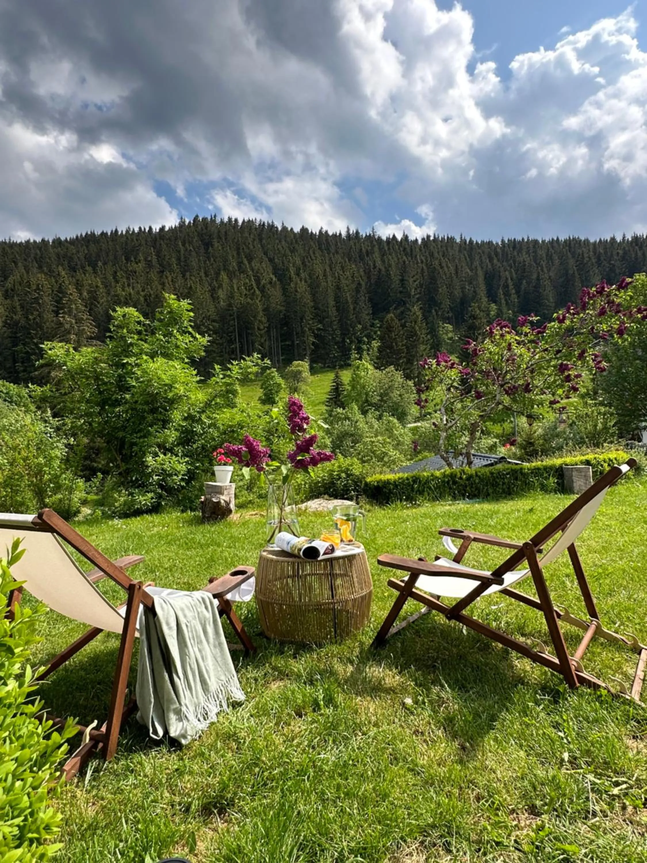 Spring in Black Forest Dream Apartments