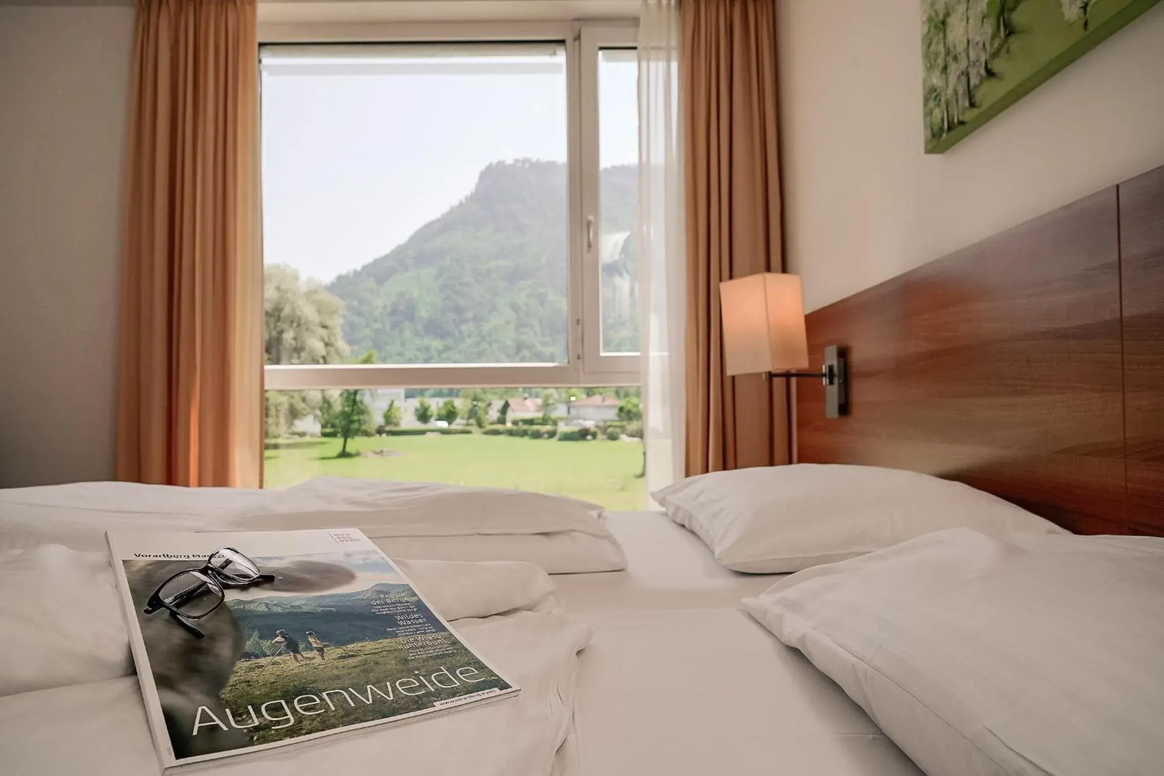 Double Room with Mountain View in Fairmotel Dornbirn Double Room with Mountain View in Fairmotel Dornbirn