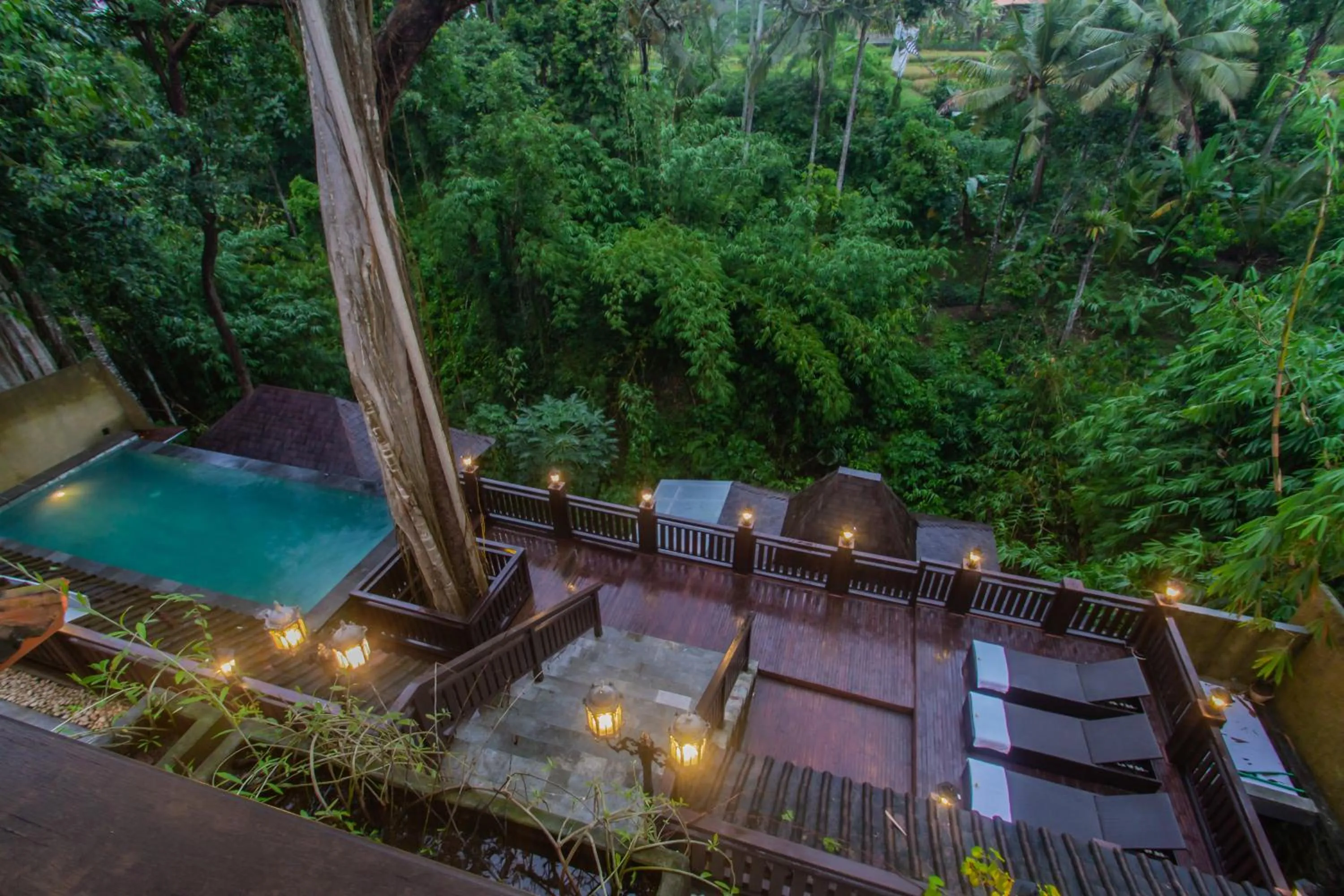 Swimming pool in Graha Petulu Ubud by GenuineHost