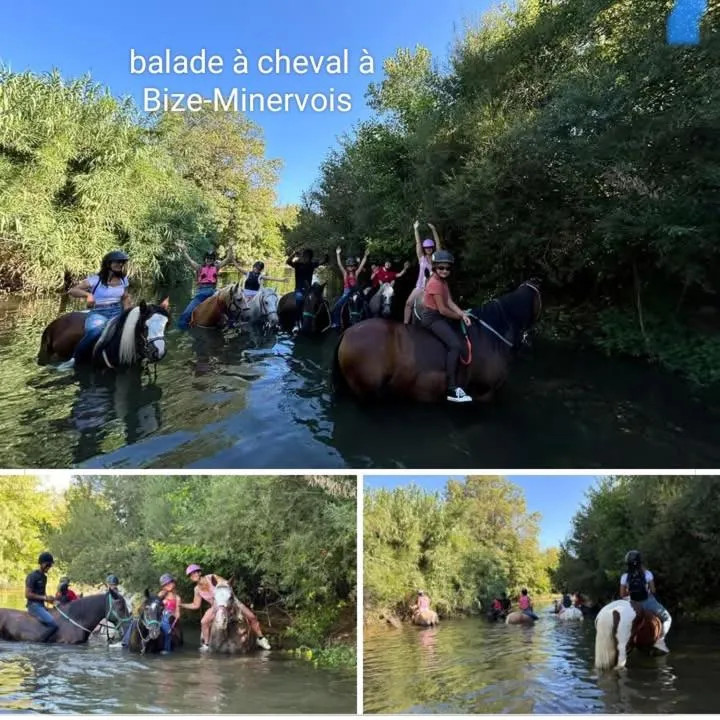 La Villa Du Menhir Chambre d'hôtes