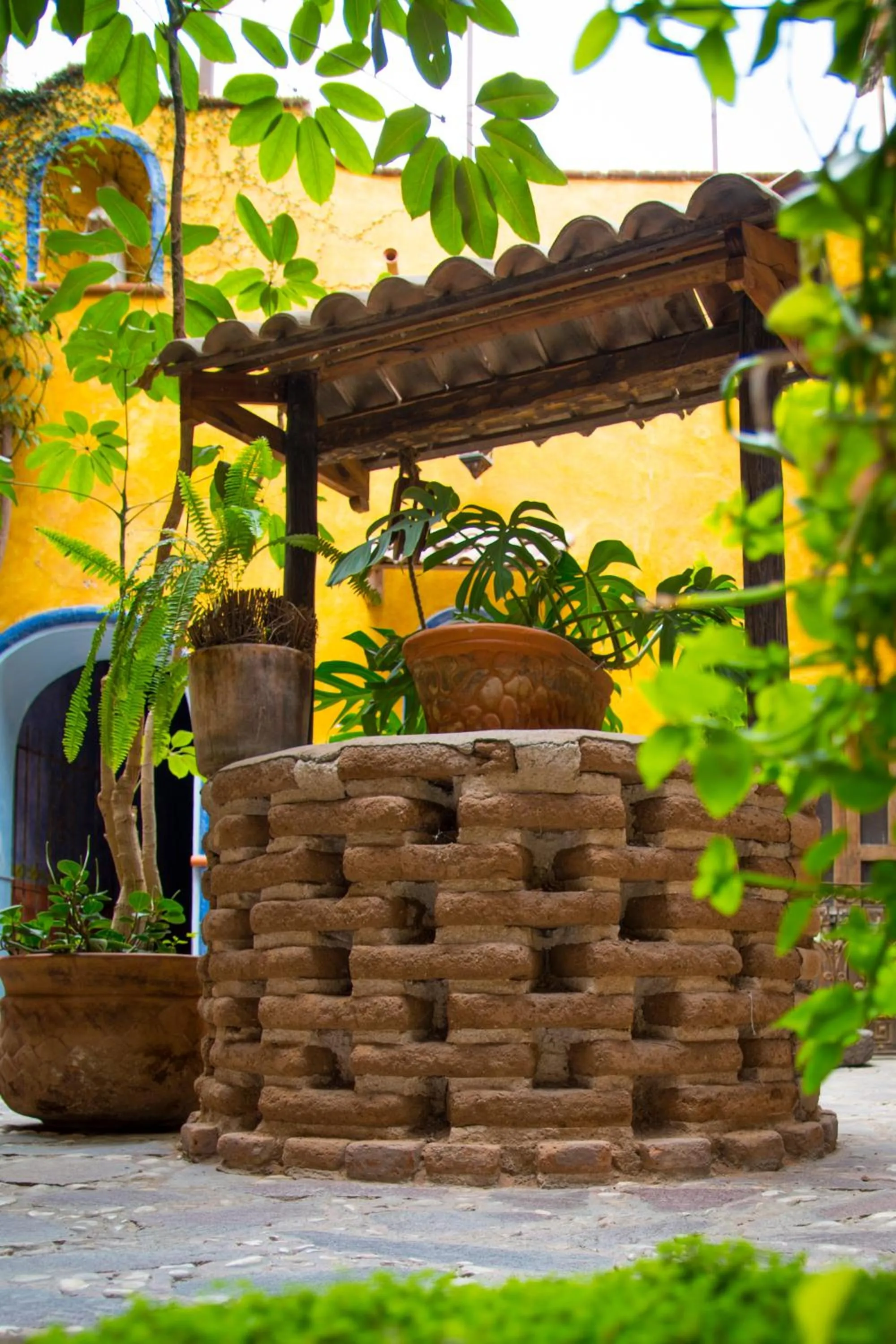 Garden in Hotel CasaMia