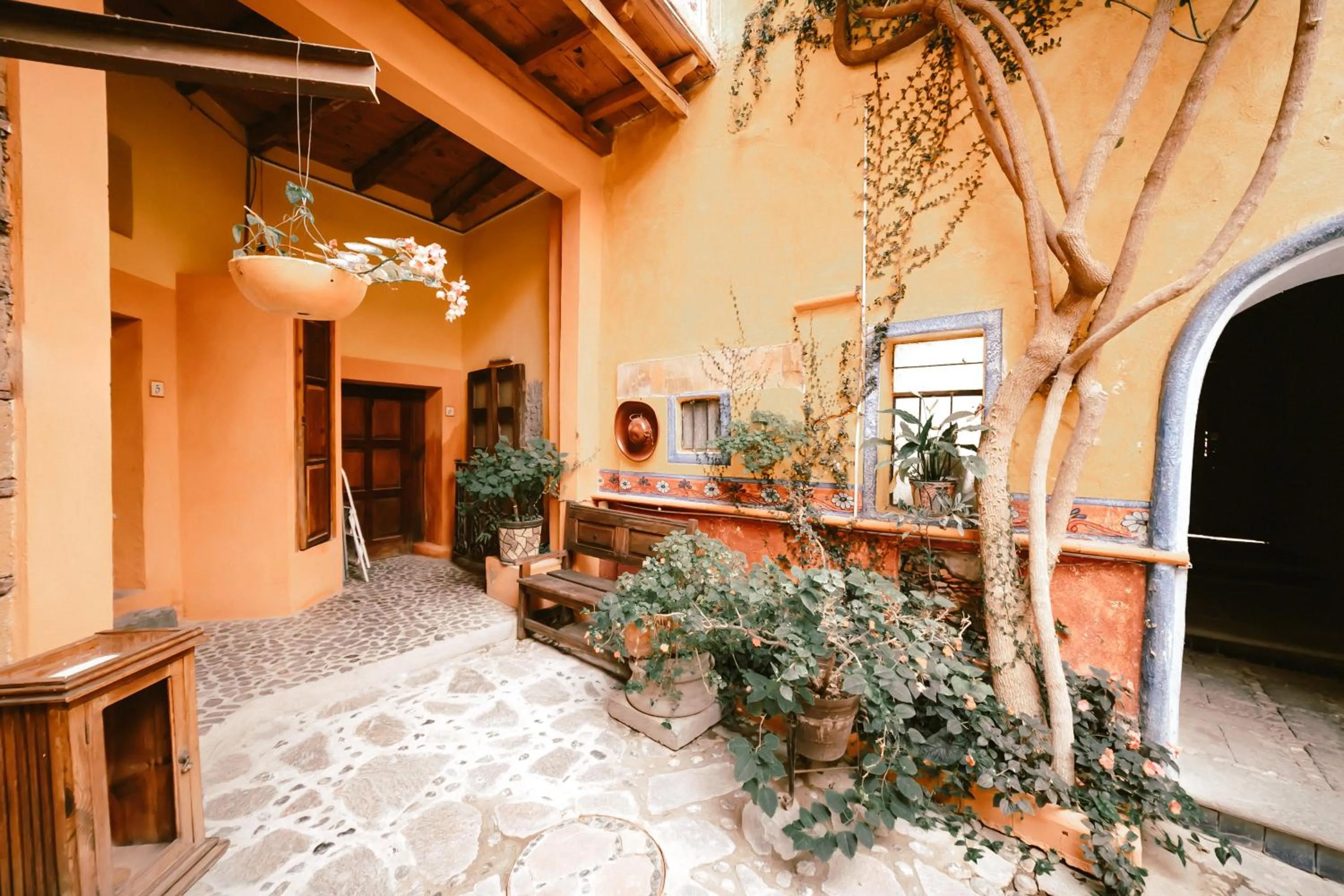 Garden in Hotel CasaMia