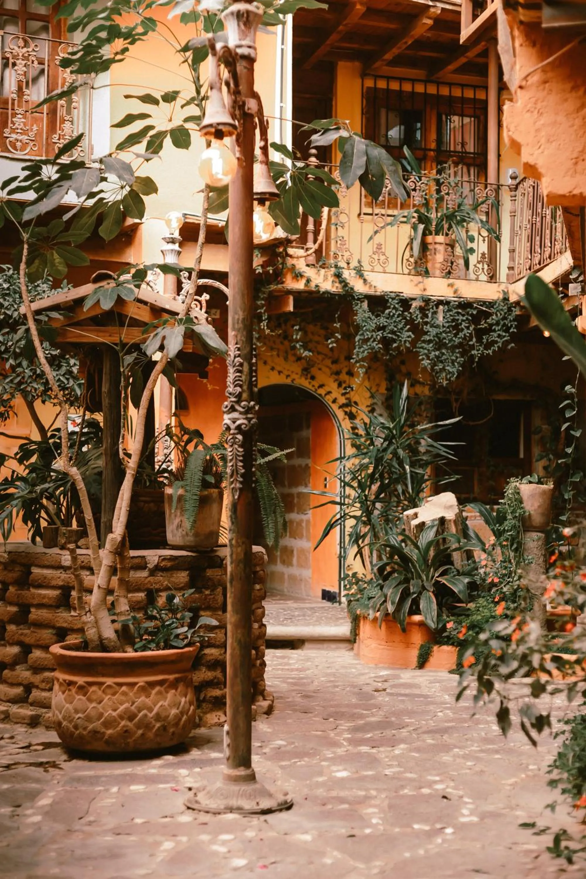 Garden in Hotel CasaMia