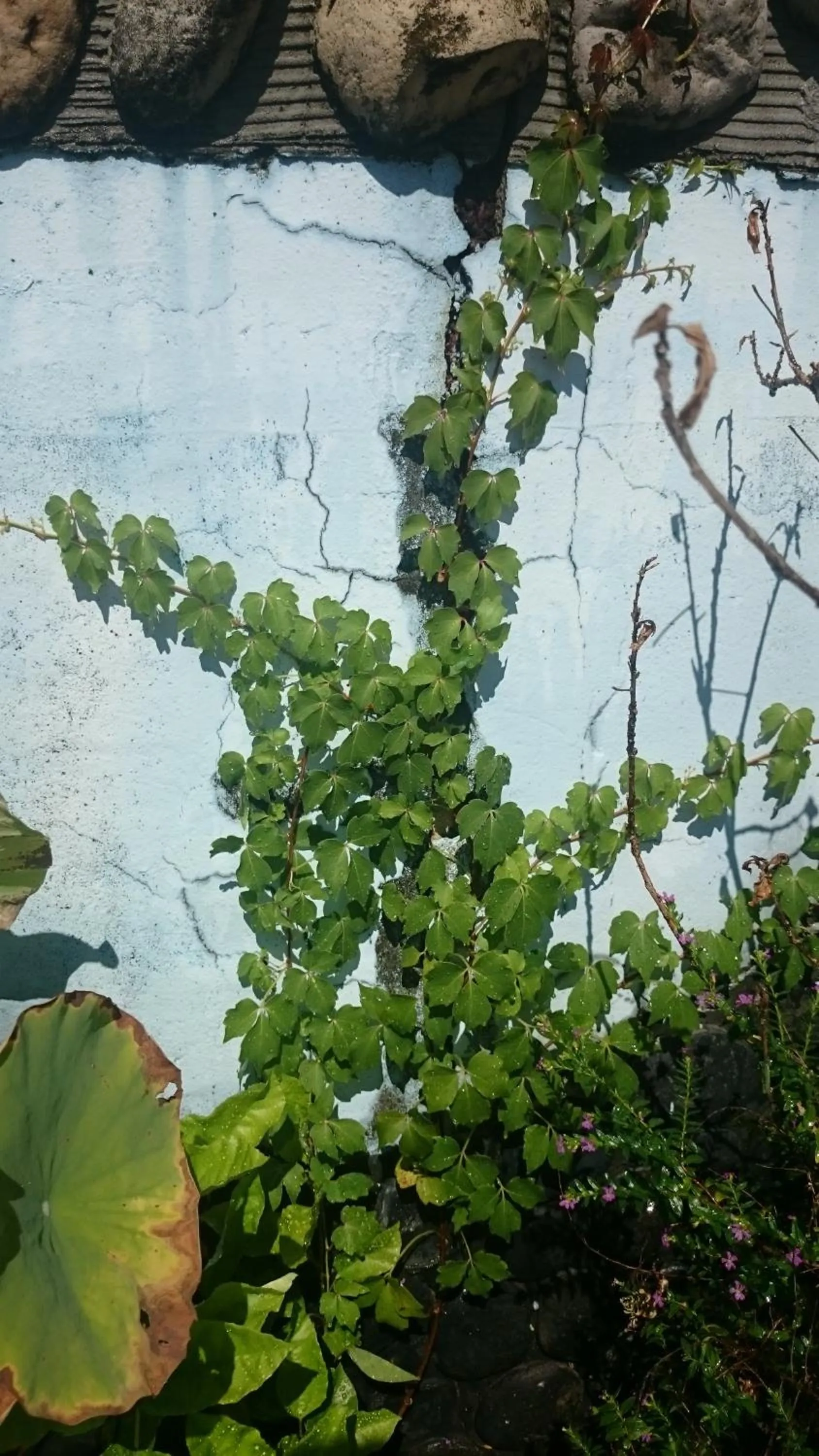 Natural landscape in Yilan Real Fun Homestay