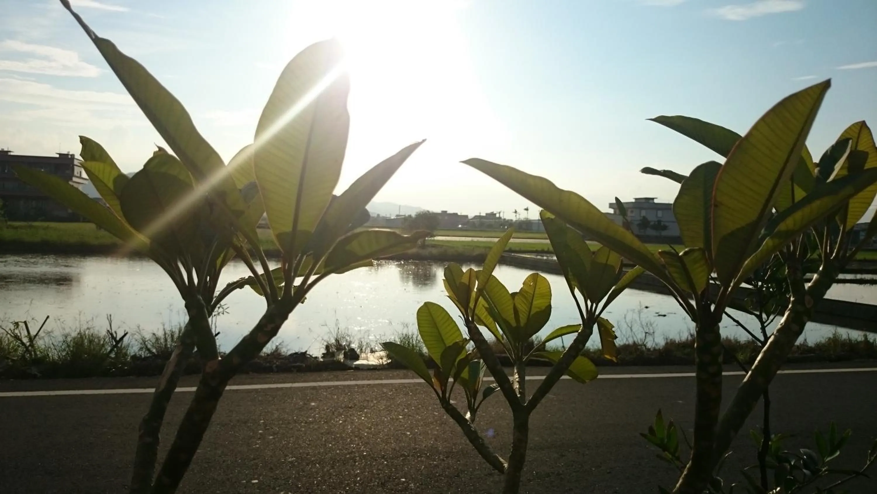 Facade/entrance in Yilan Real Fun Homestay