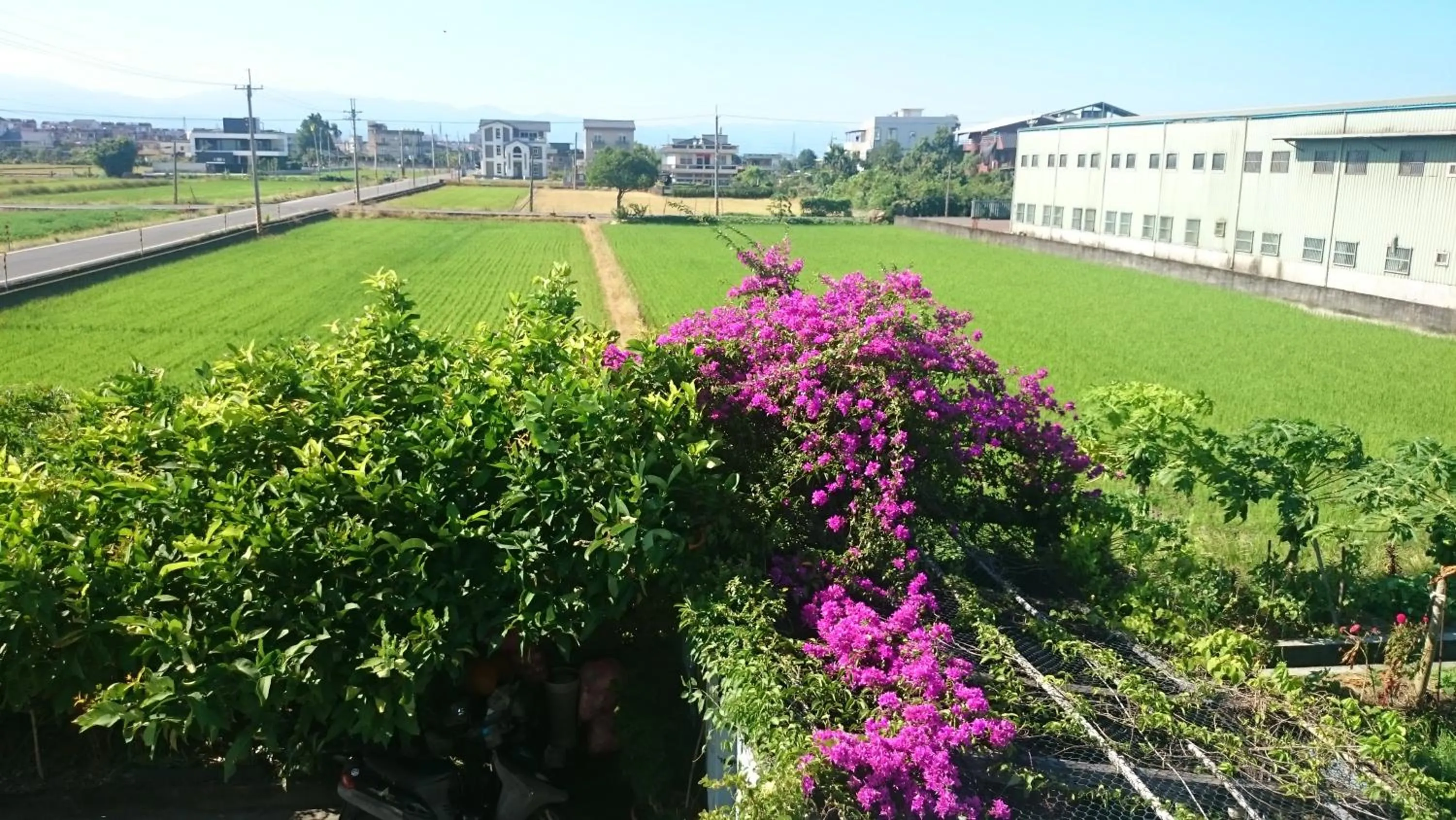 Bird's eye view in Yilan Real Fun Homestay