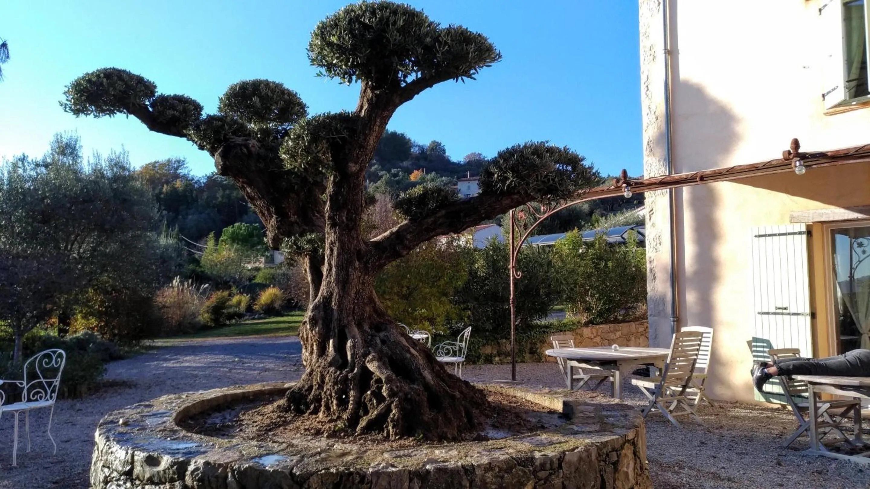 Garden in L'Escale Provençale