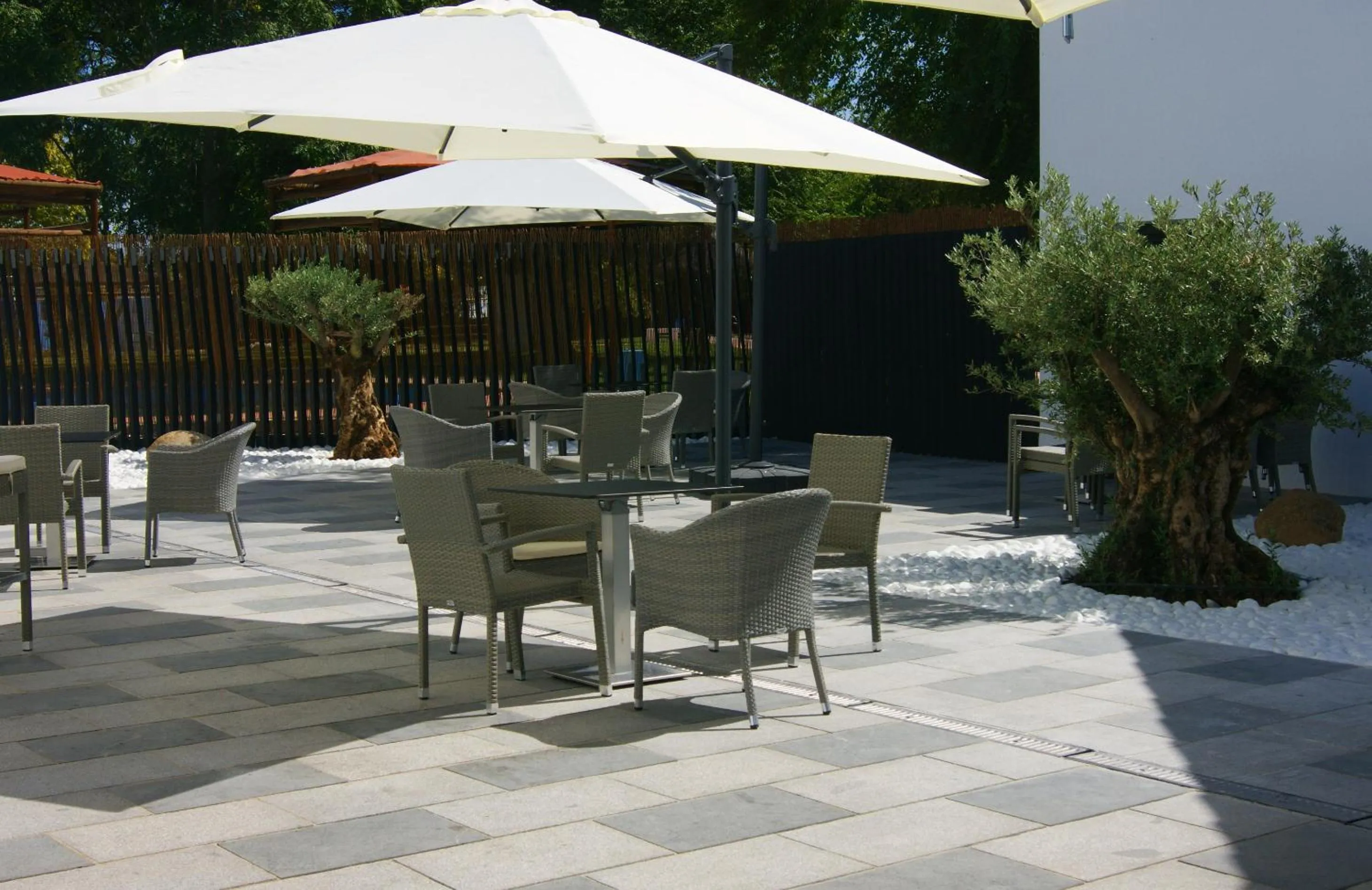 Area and facilities in Hotel EH Piedra Y Luz