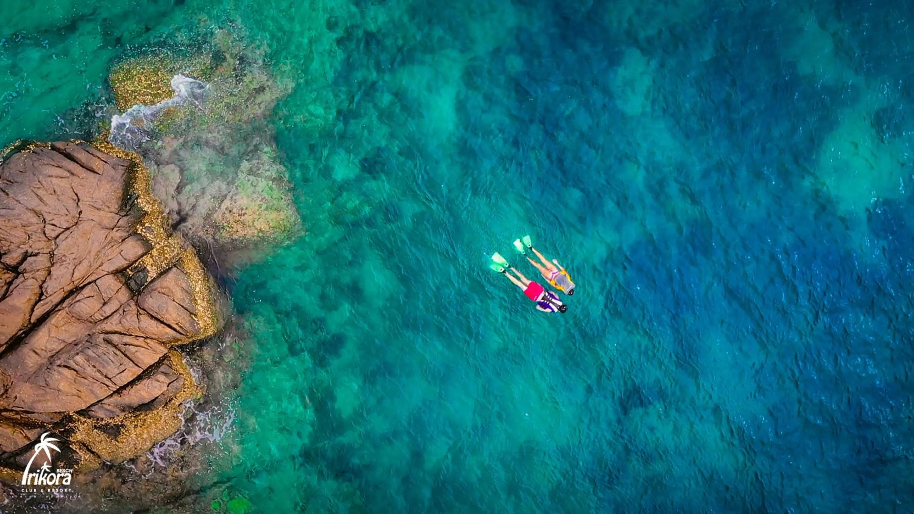 Beach in Trikora Beach Club and Resort