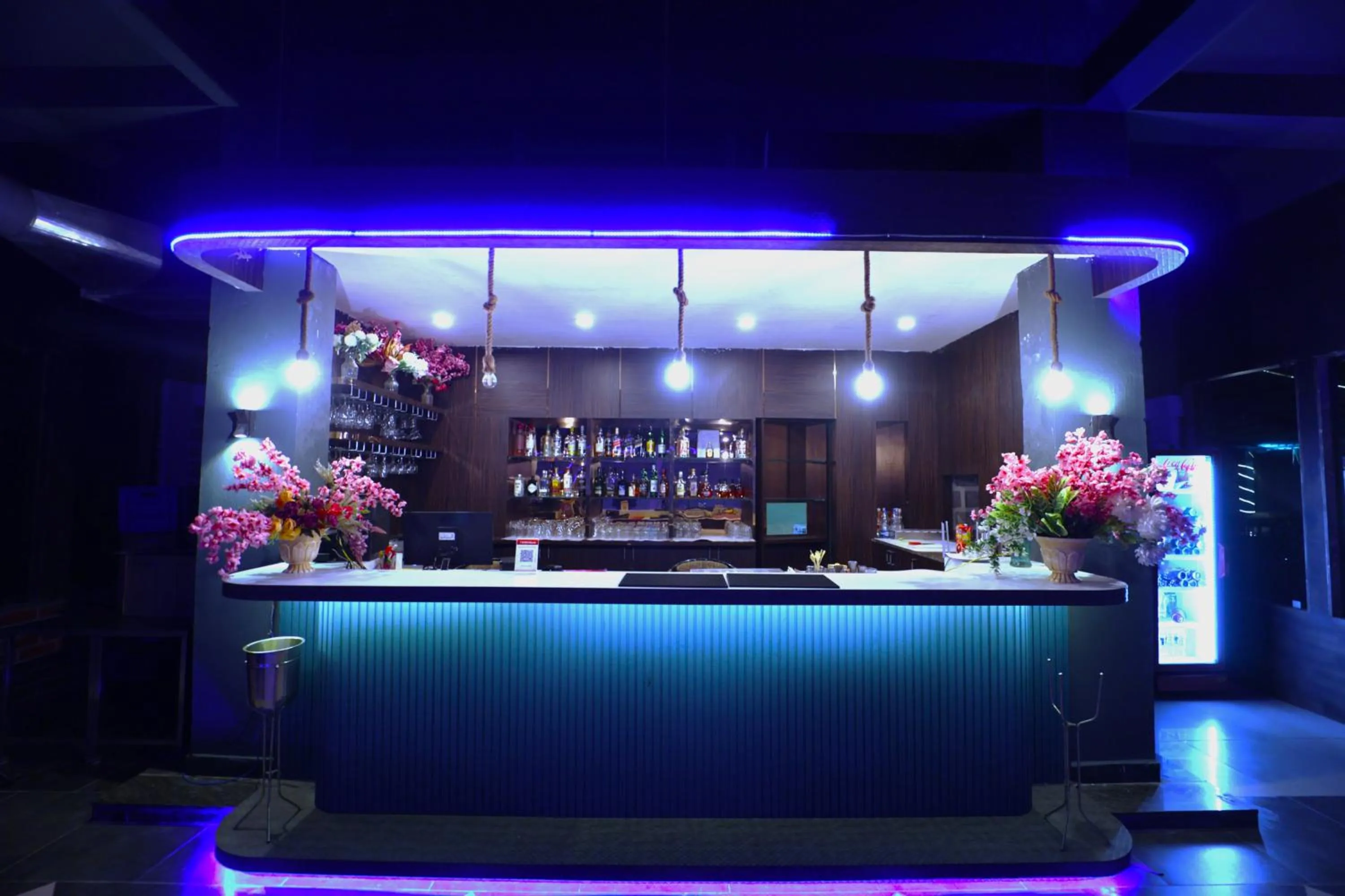 Lounge or bar in coral beach resort