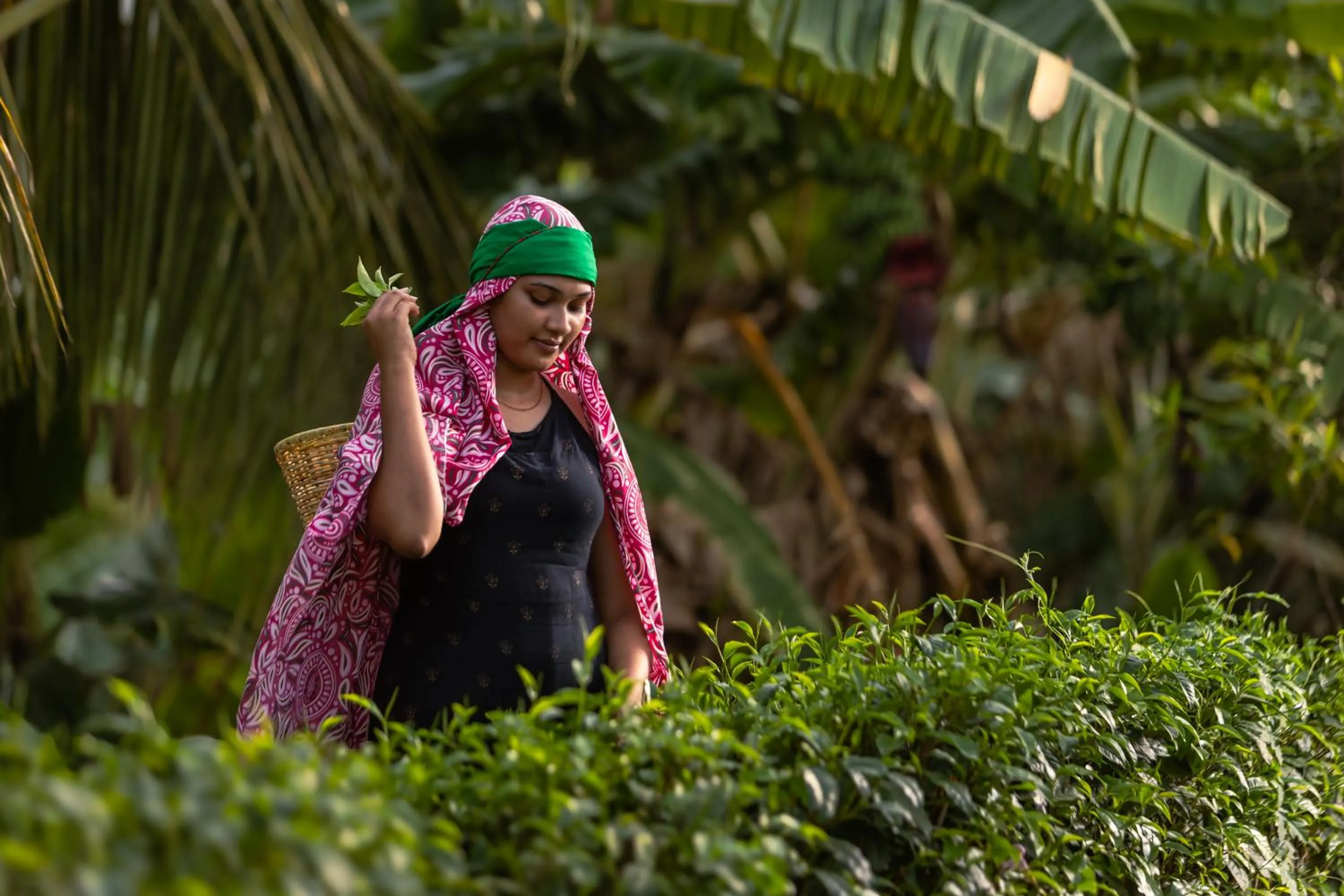 Natural landscape in Bolagala Agro Floating Resort