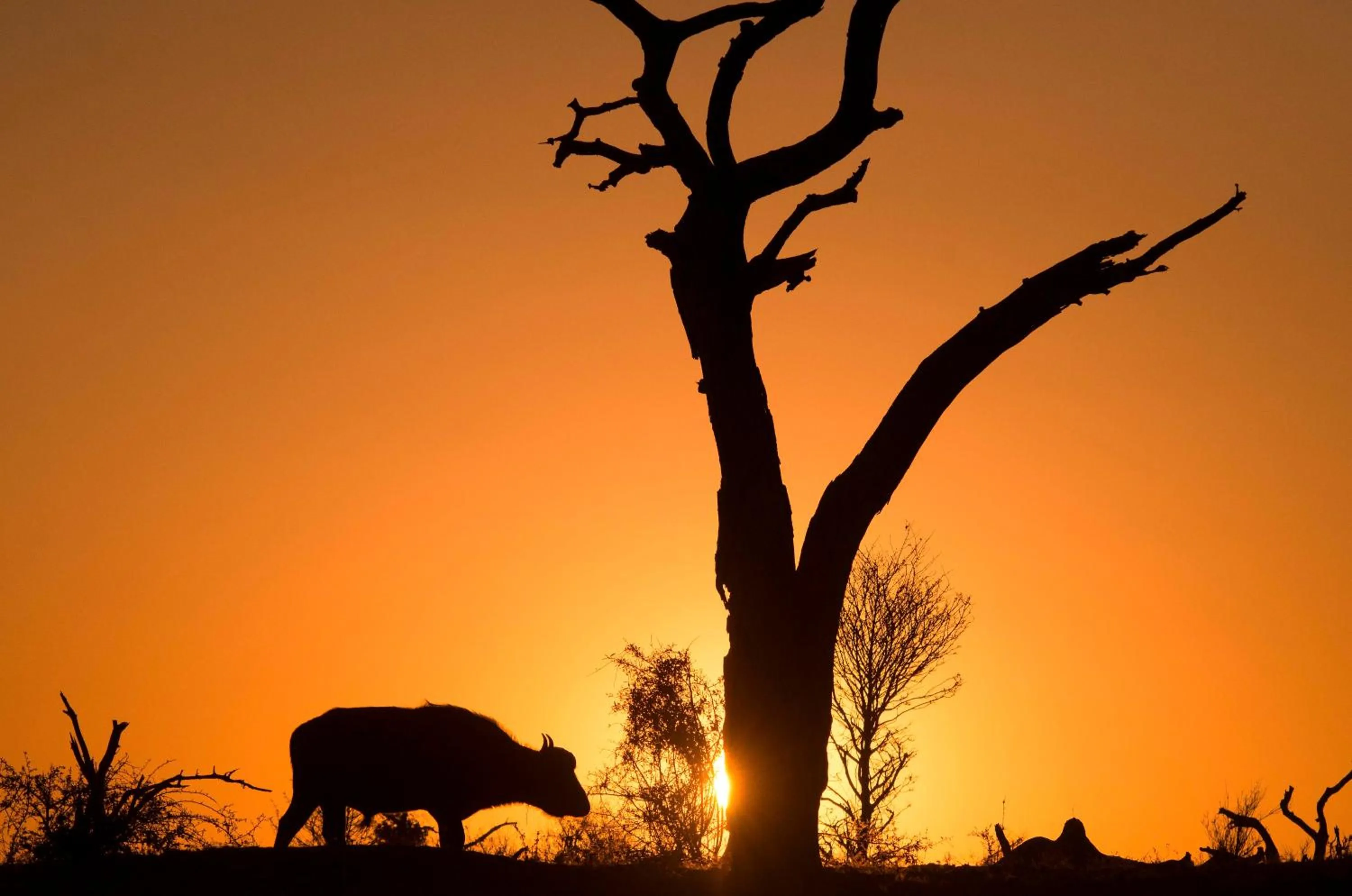 Activities in The Old House