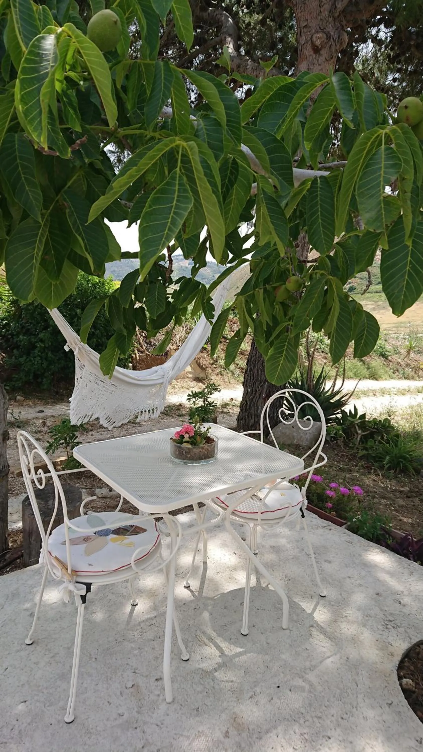Garden in Helimos Bed&Breakfast Segesta Temple-Castellammare