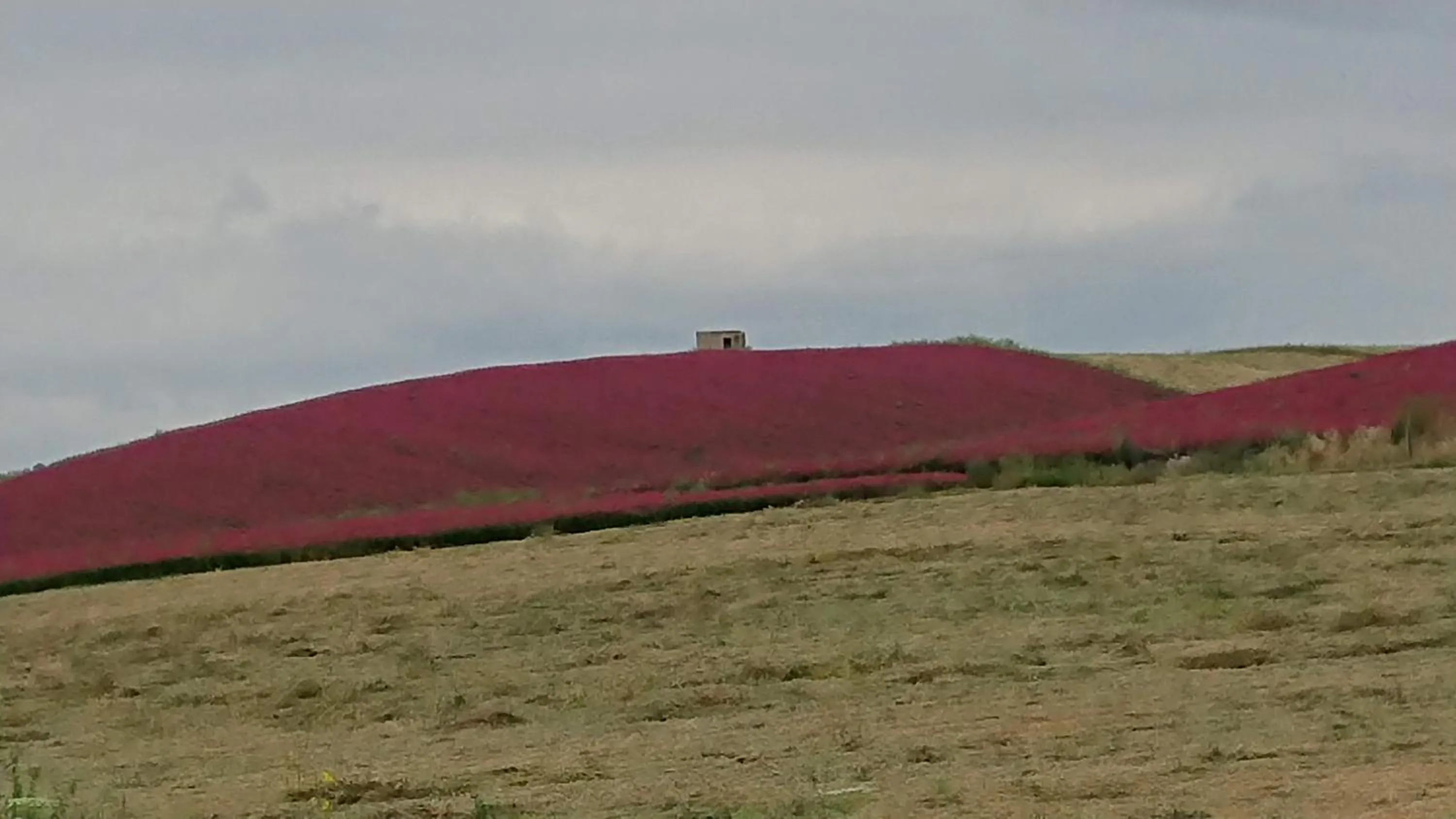 Spring in Helimos Bed&Breakfast Segesta Temple-Castellammare