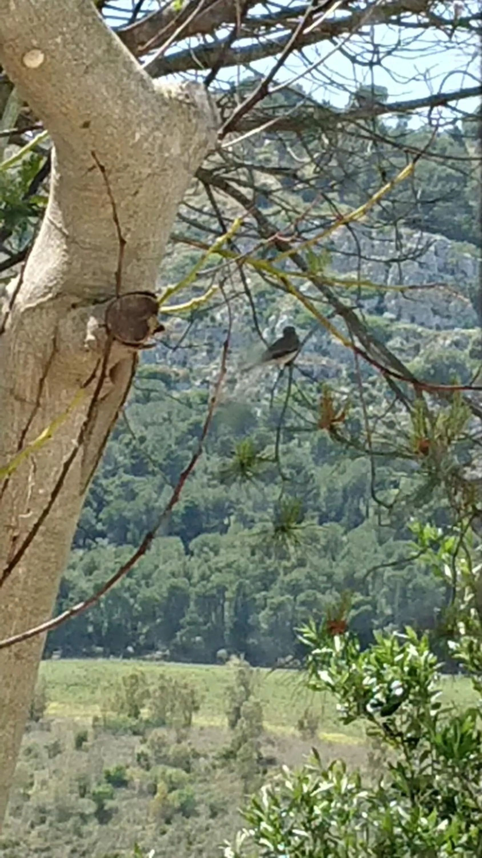 Mountain view in Helimos Bed&Breakfast Segesta Temple-Castellammare