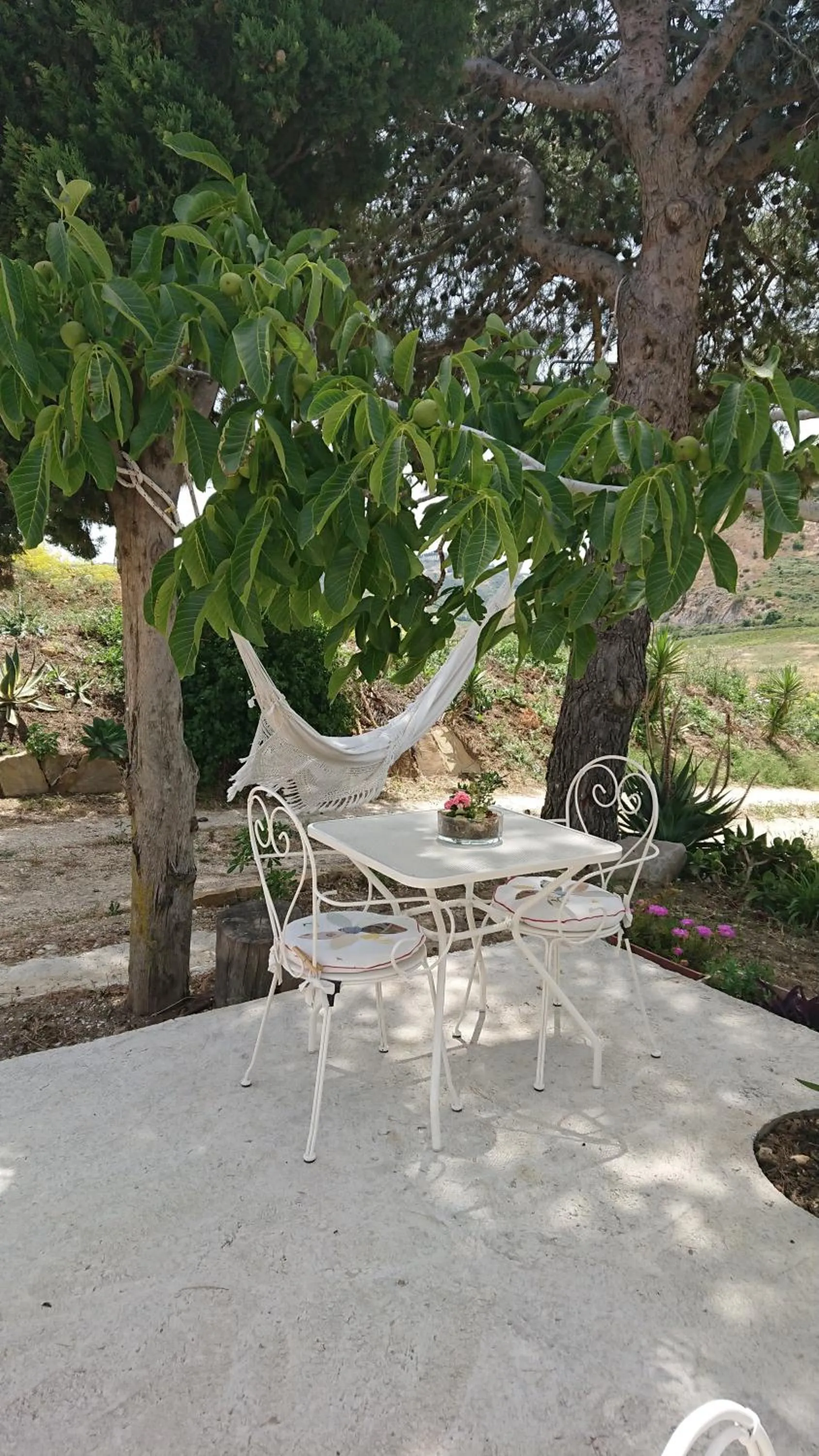 Garden view in Helimos Bed&Breakfast Segesta Temple-Castellammare