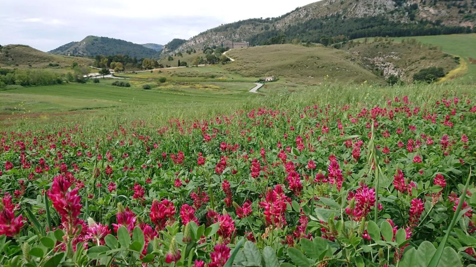 Spring in Helimos Bed&Breakfast Segesta Temple-Castellammare