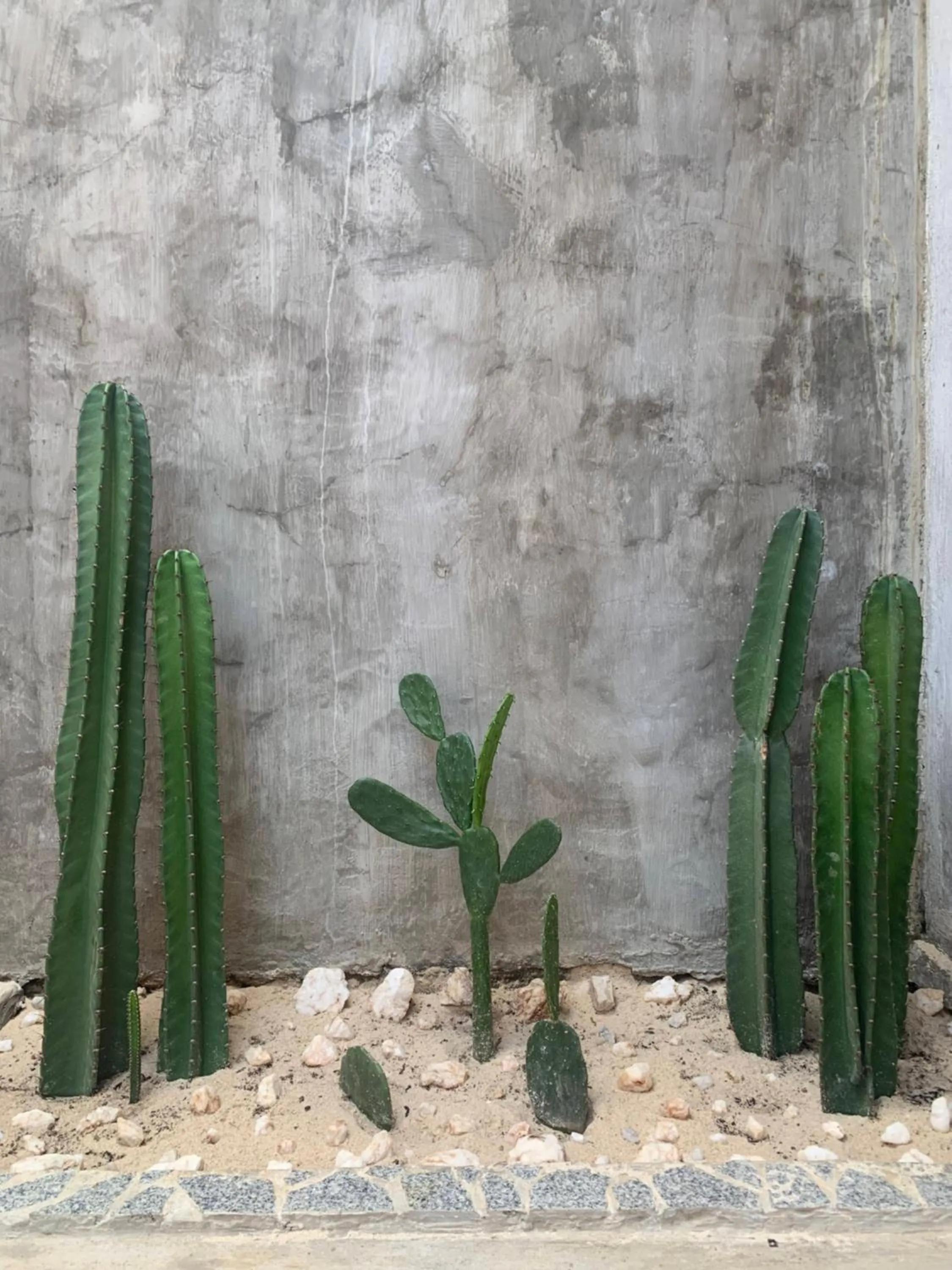 Garden view in KALINDA HOMEY