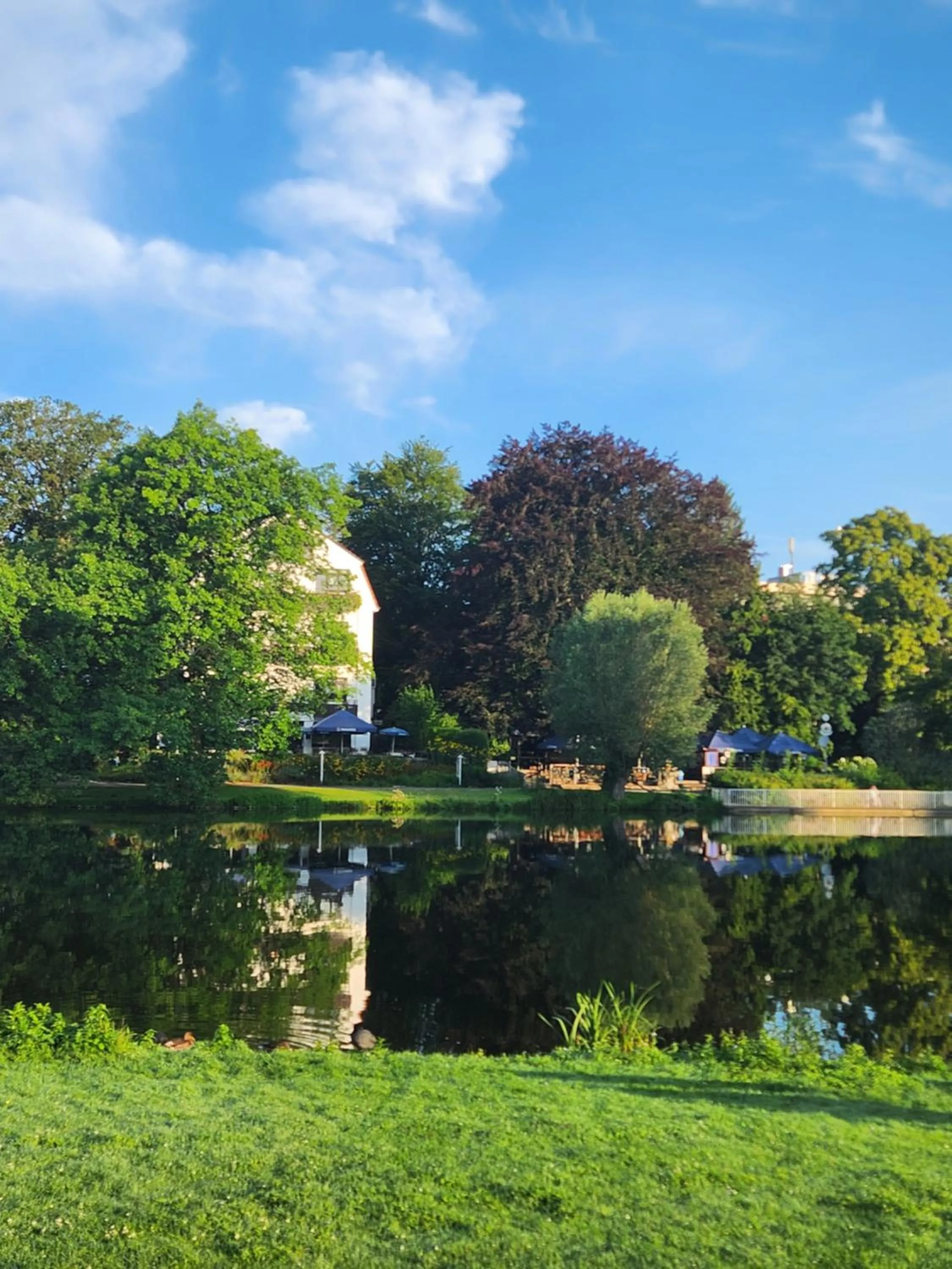 Natural landscape in Hotel Haus am See