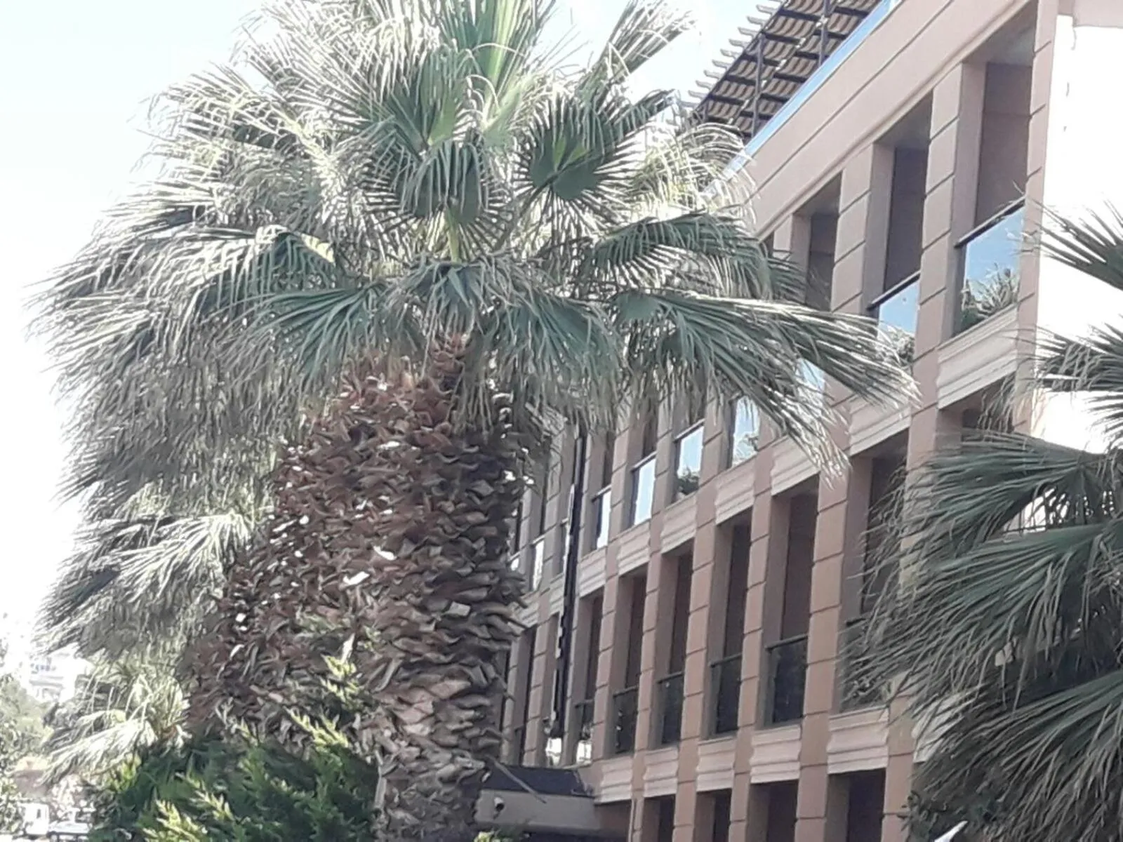 Property building in Nazar Hotel