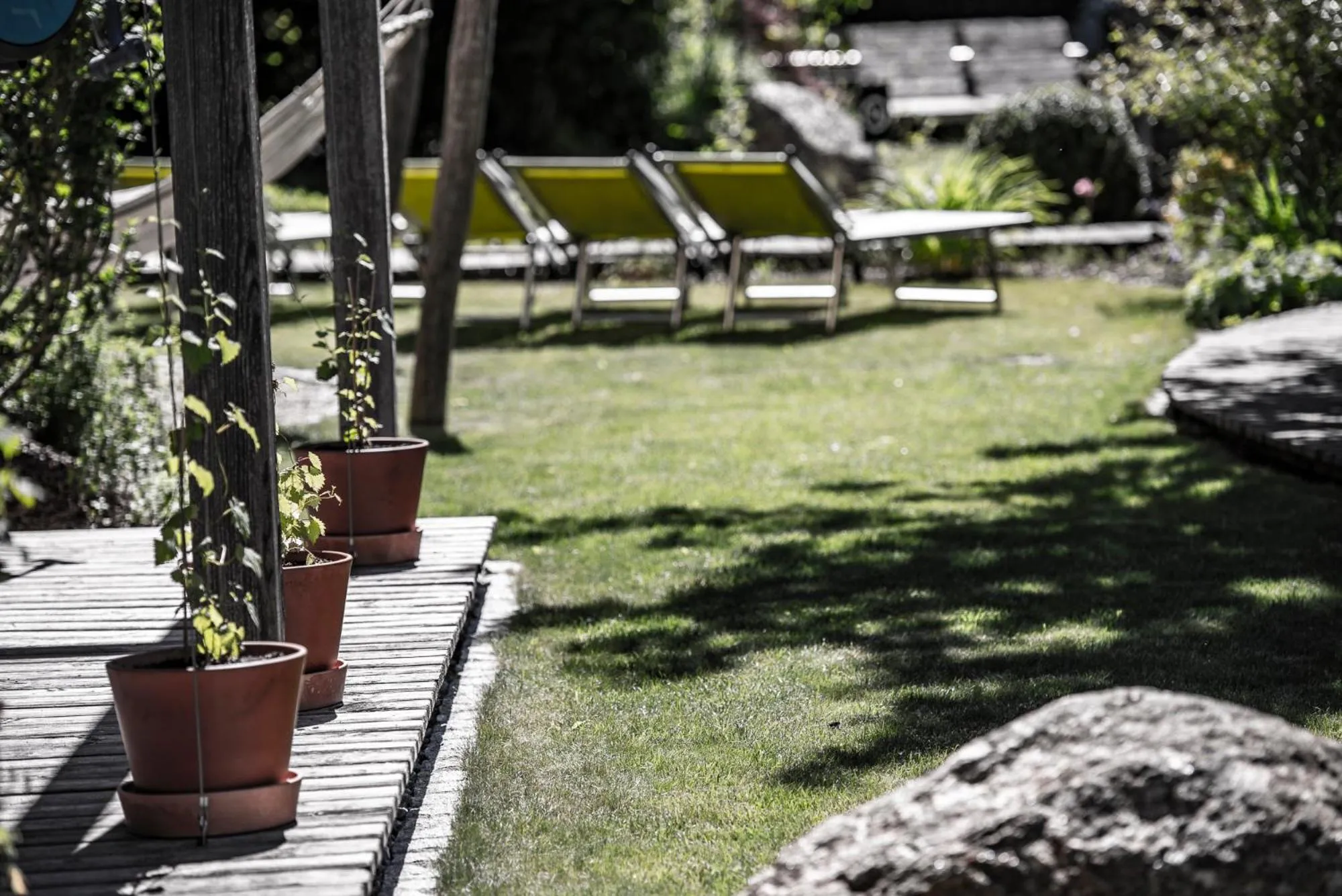 Garden in Faulenzerhotel