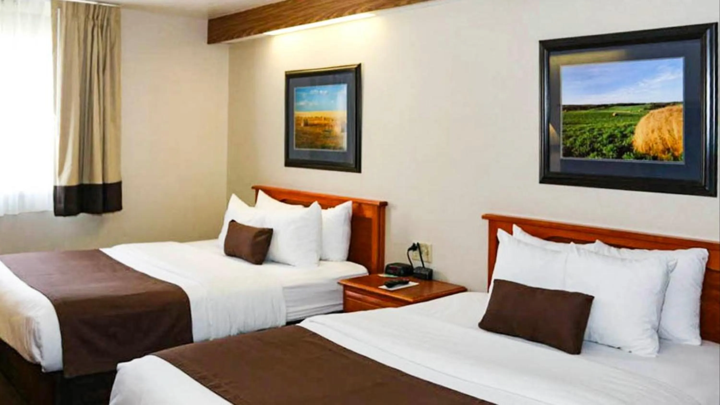 Bedroom, Bed in Studio 6 - Minot, ND