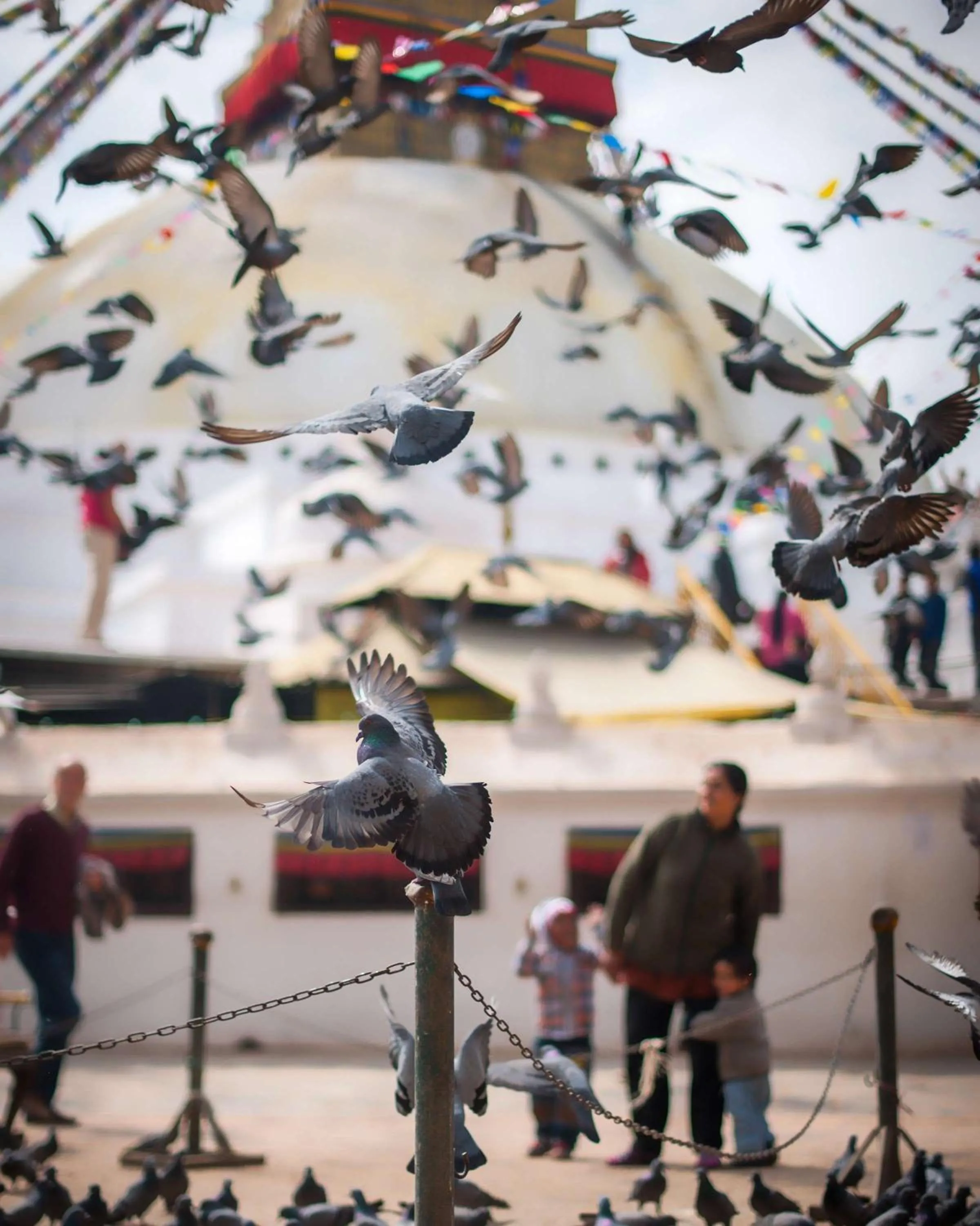 Nearby landmark in Hyatt Regency Kathmandu