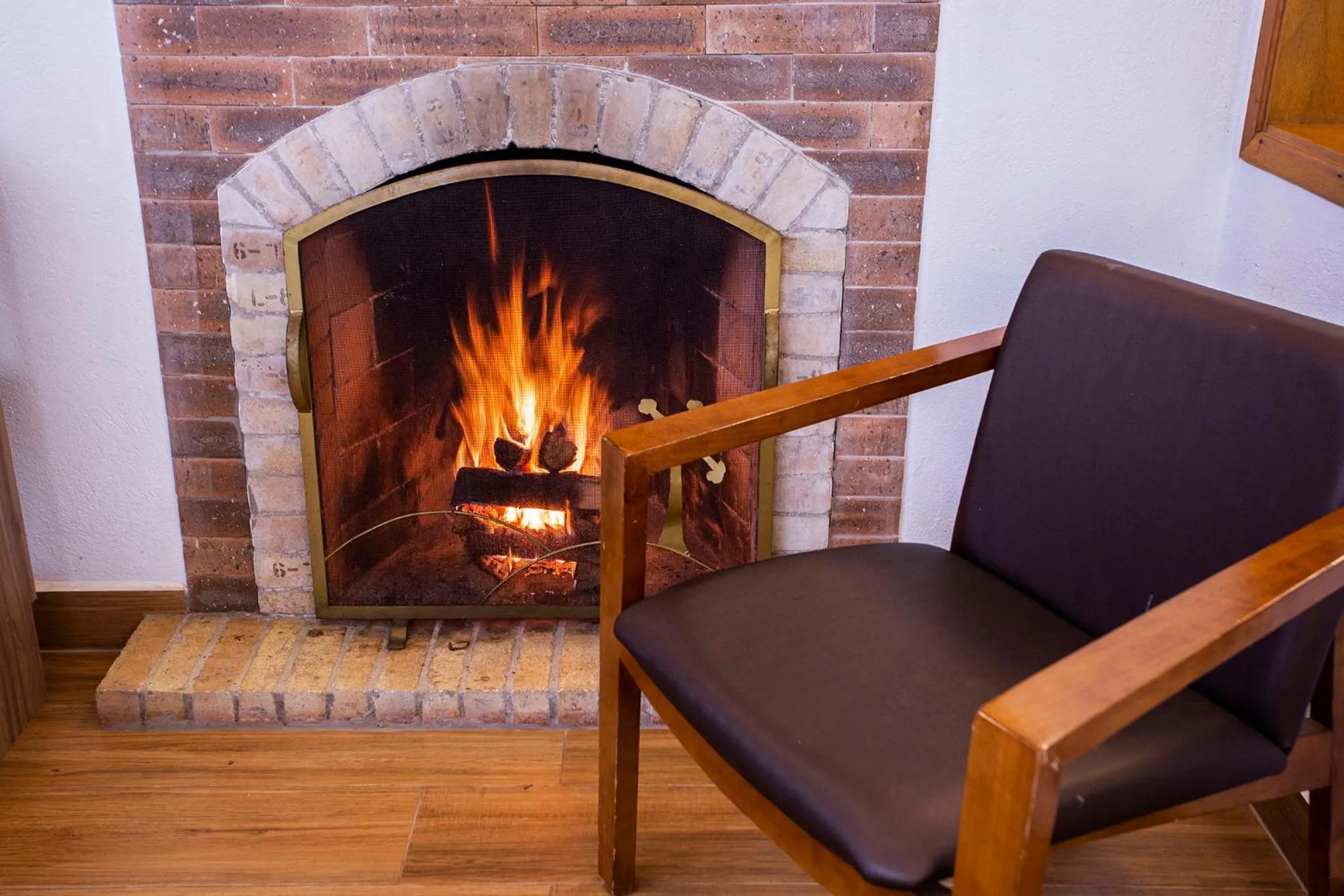 flat iron in Pousada Suiça Mineira Garden