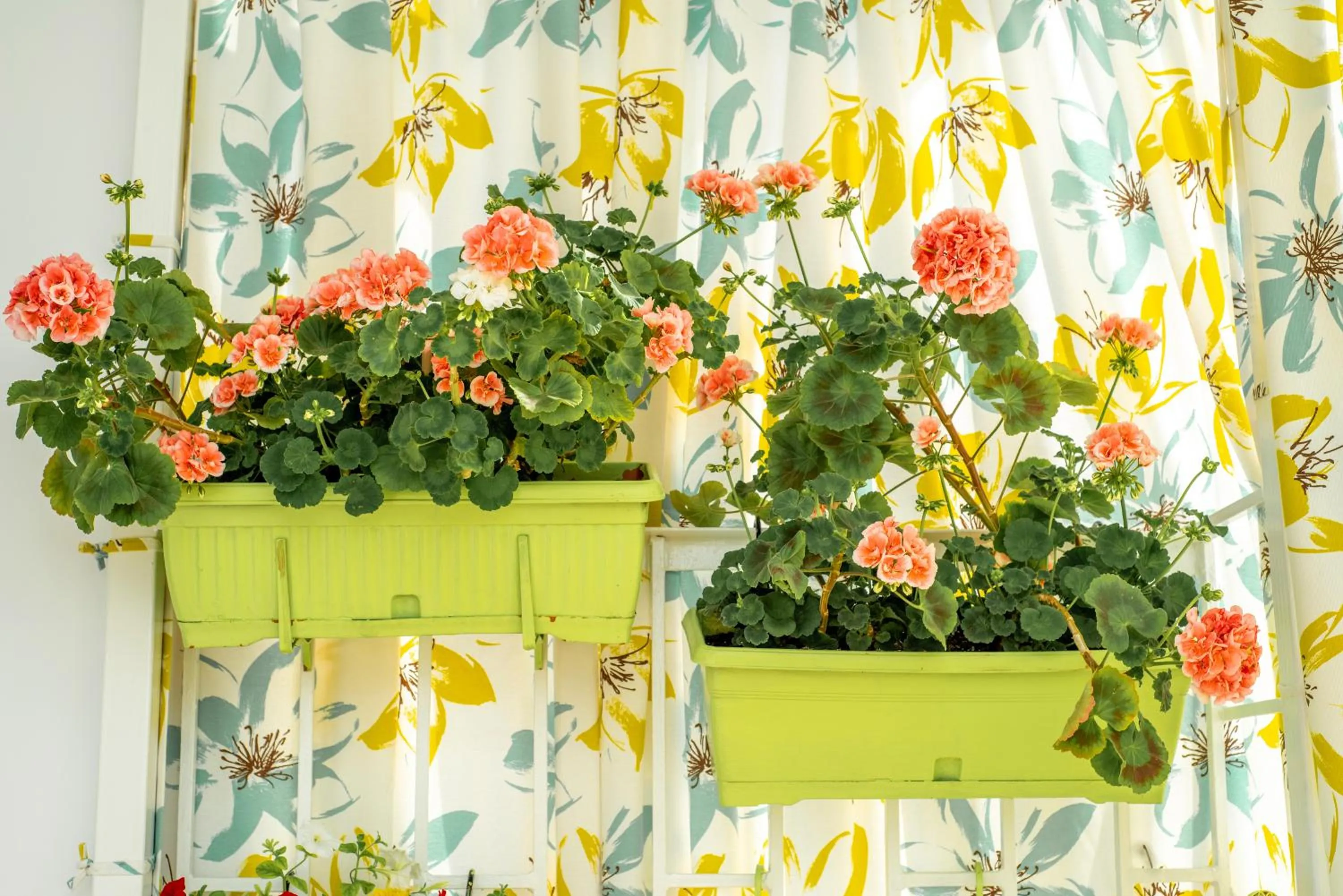 Property building in Lowell Hotel