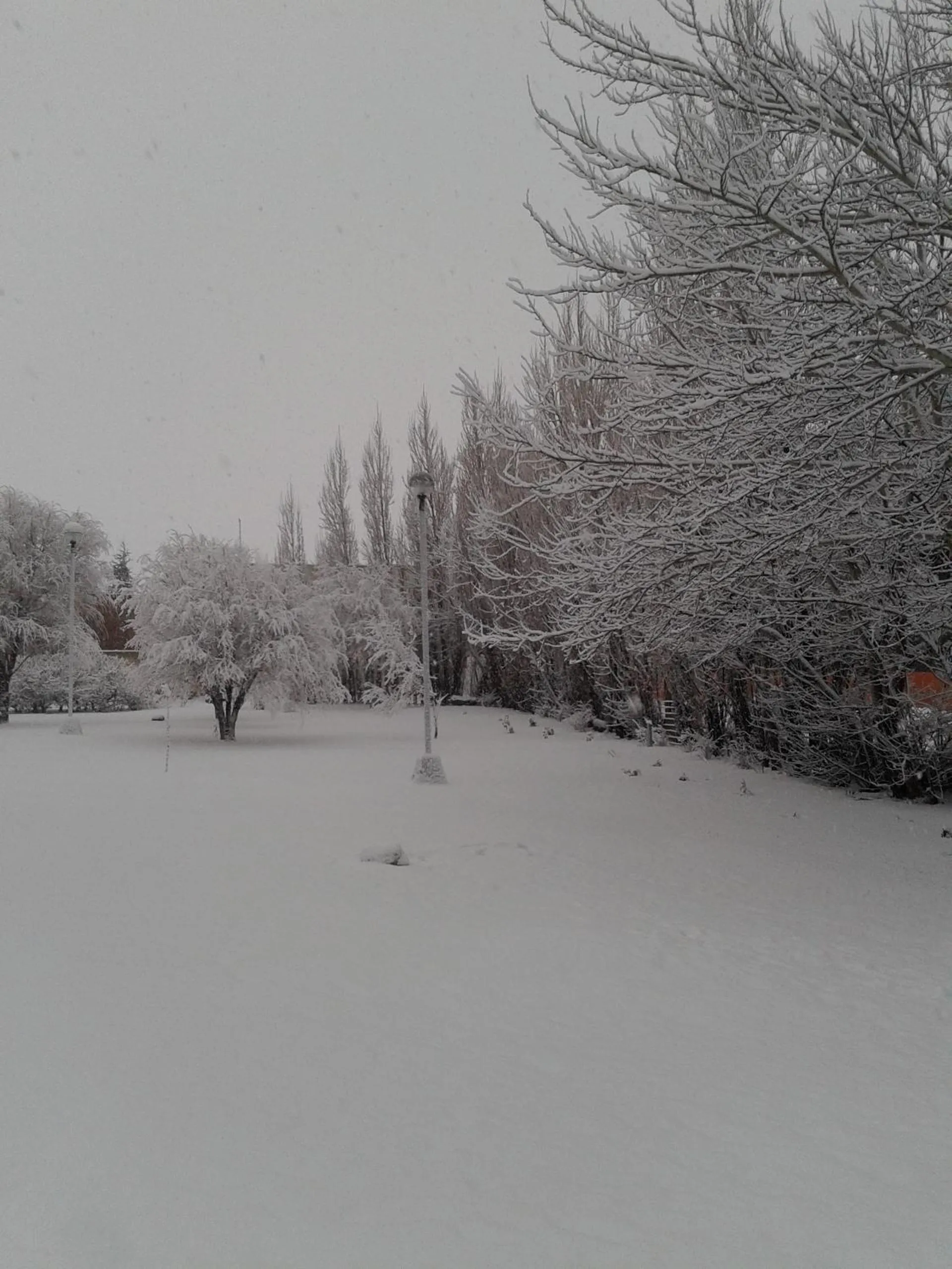 Winter in Hotel ACA El Calafate