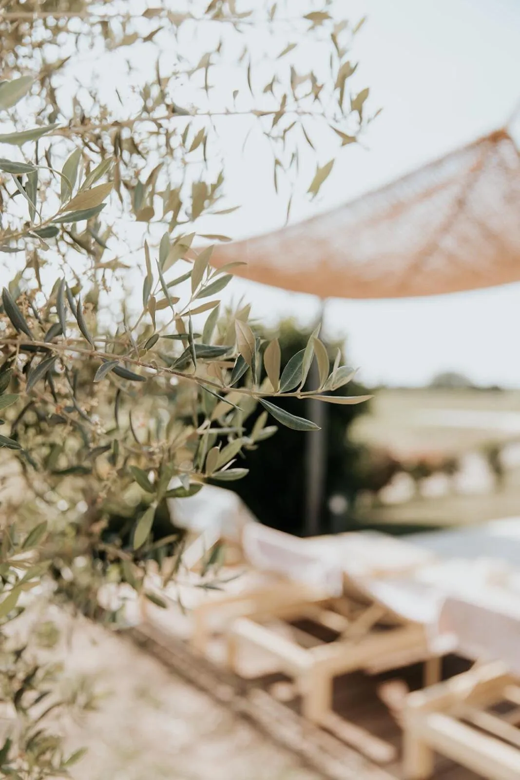 Pool view in Château La Grande Clotte
