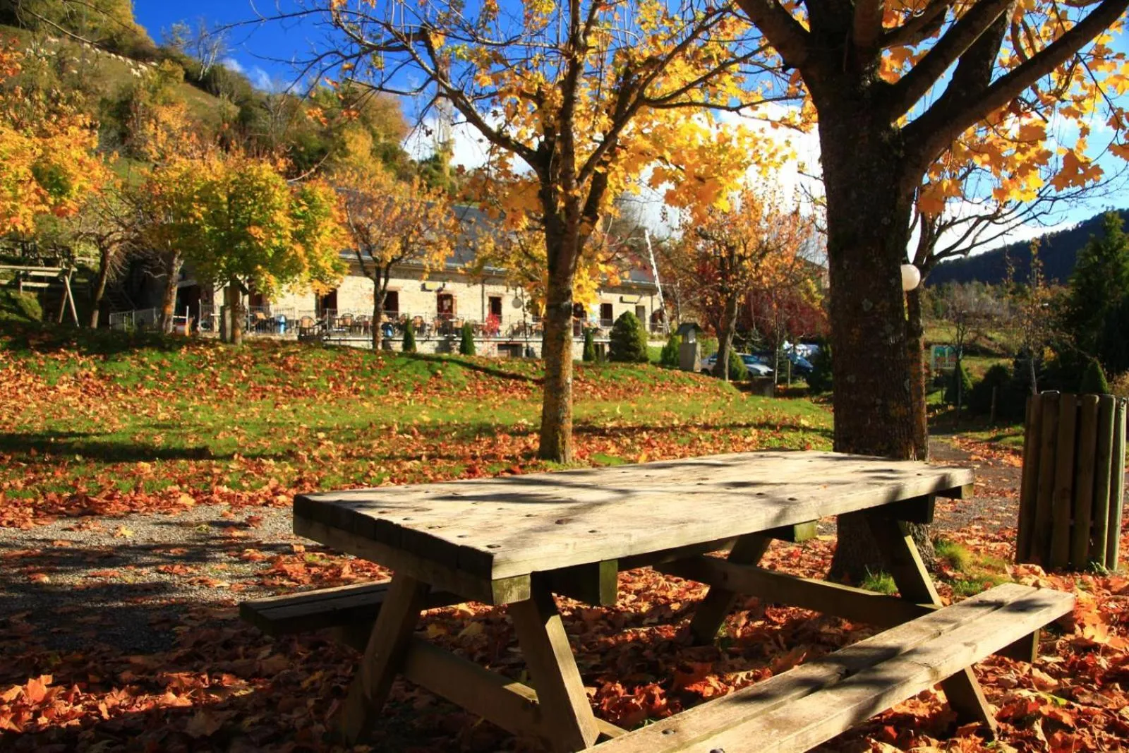 Property building in Hotel, Bungalows y Camping Viu