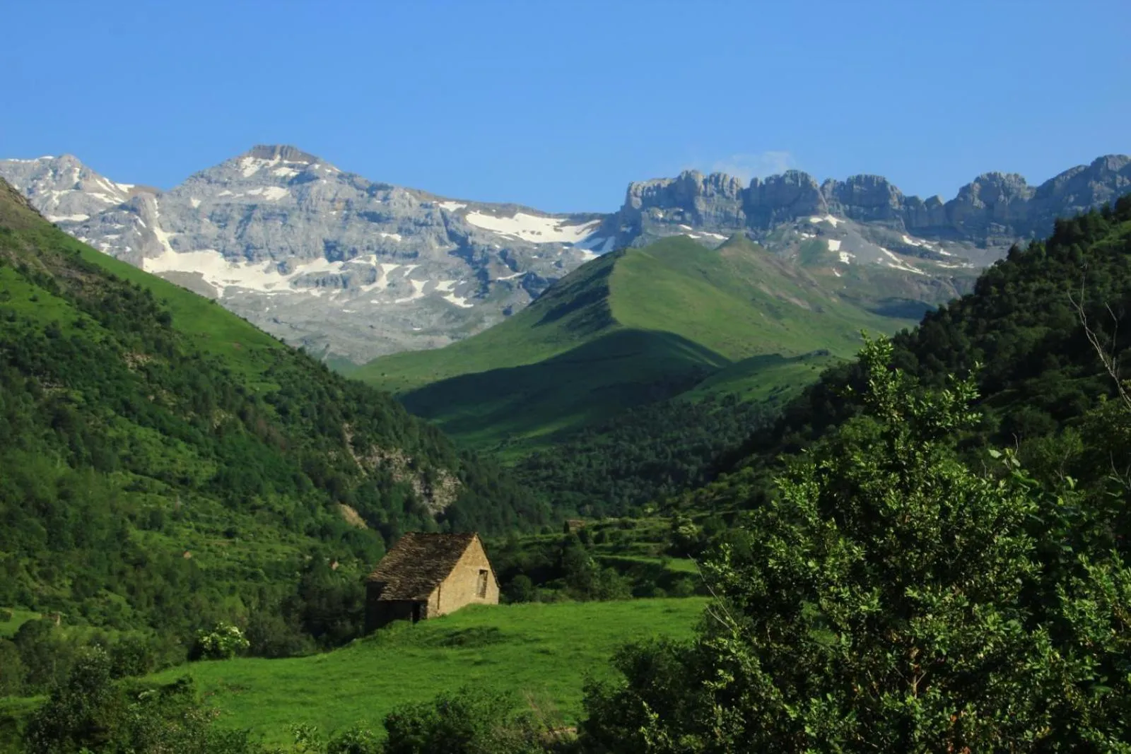 Other in Hotel, Bungalows y Camping Viu